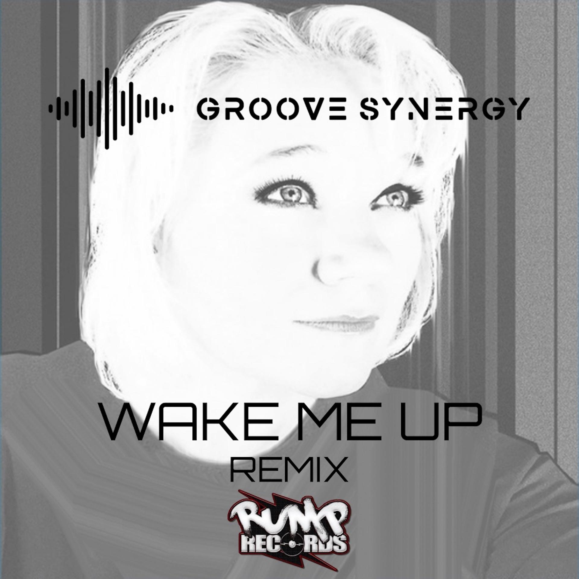 Постер альбома Wake Me up feat. Shelly Nelson (Groove Synergy Remix)