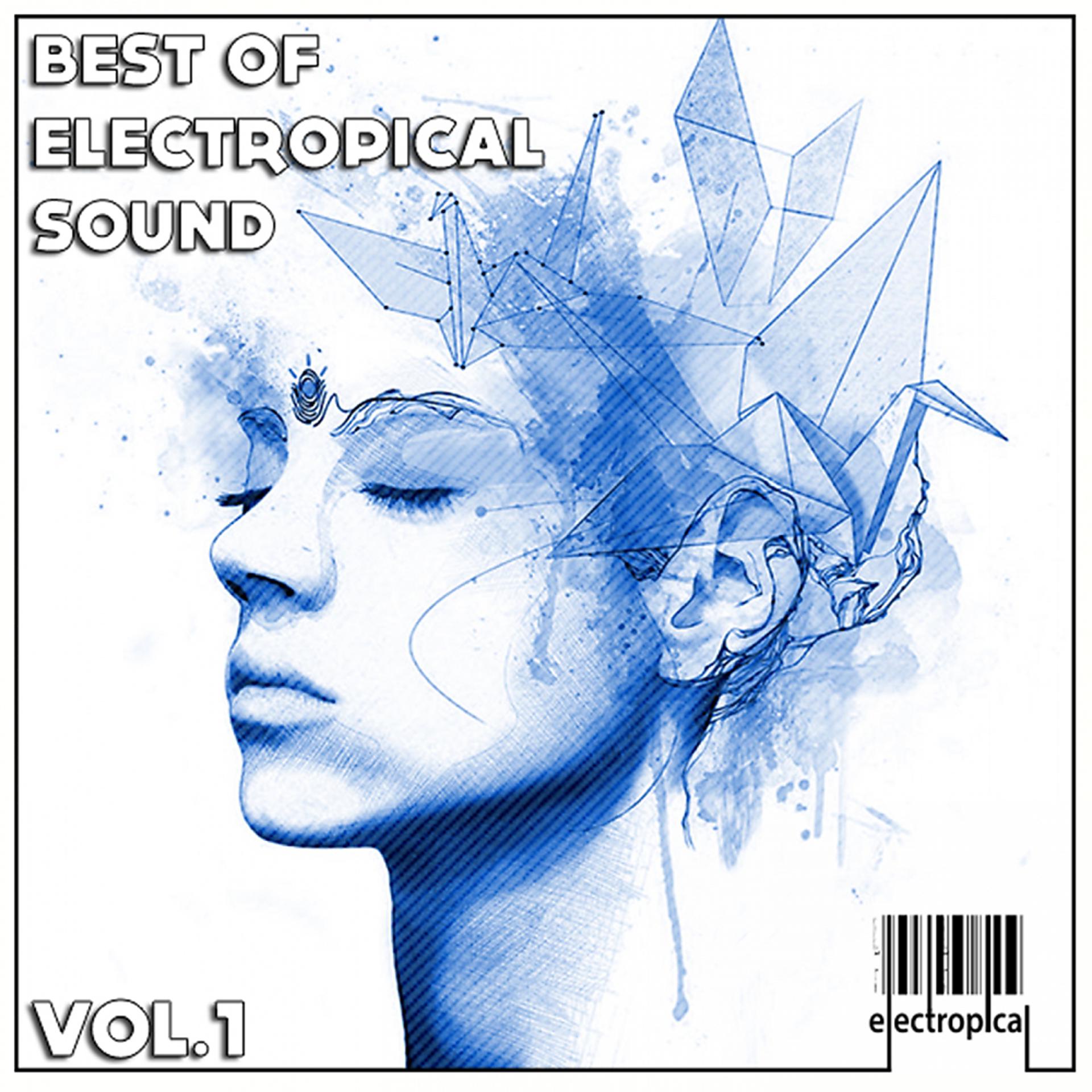 Постер альбома Best Of Electropical Sound