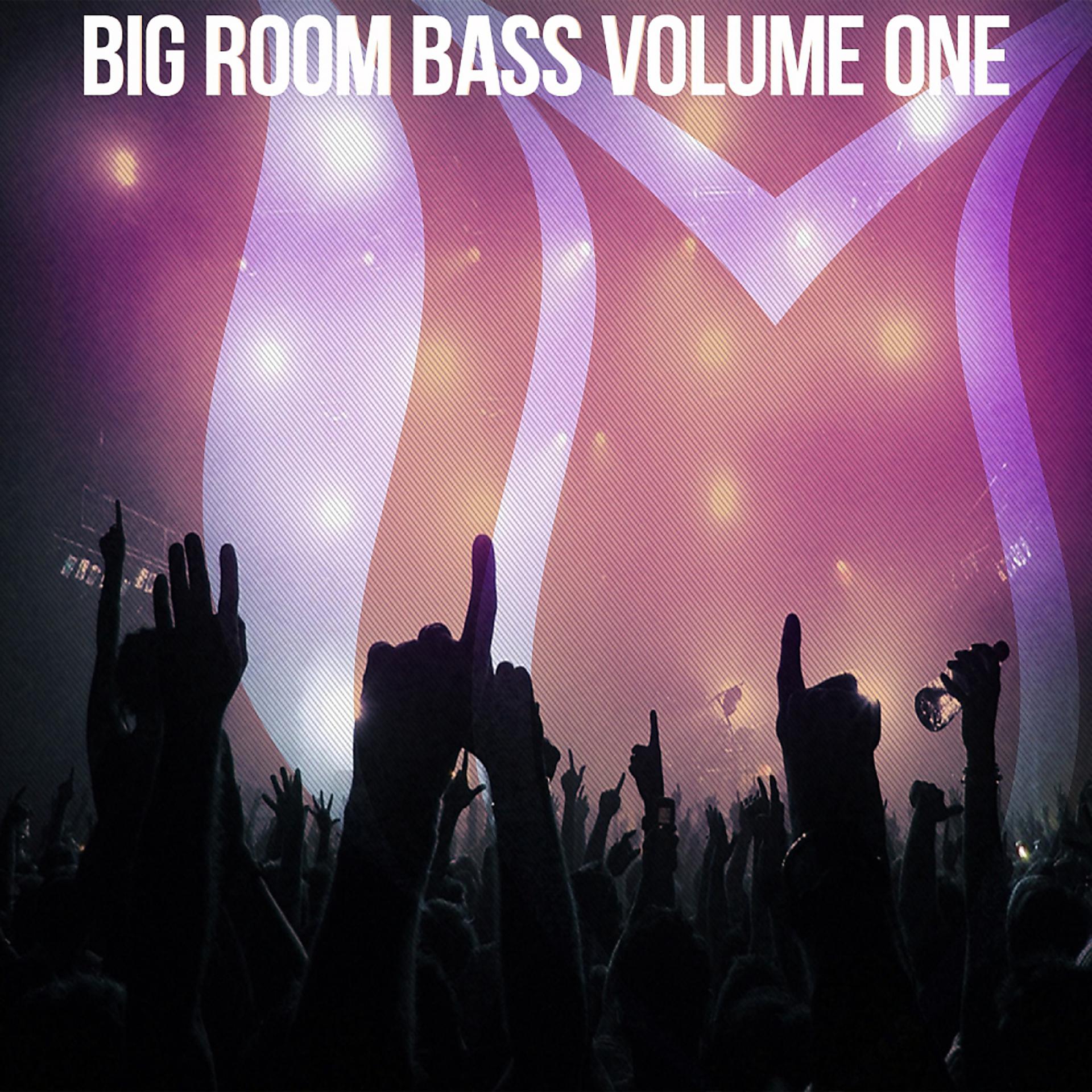 Постер альбома Big Room Bass, Vol. 1
