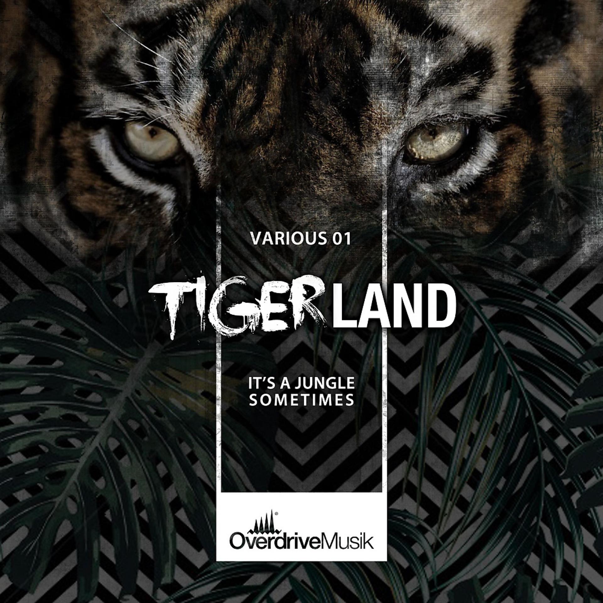 Постер альбома Tigerland 01