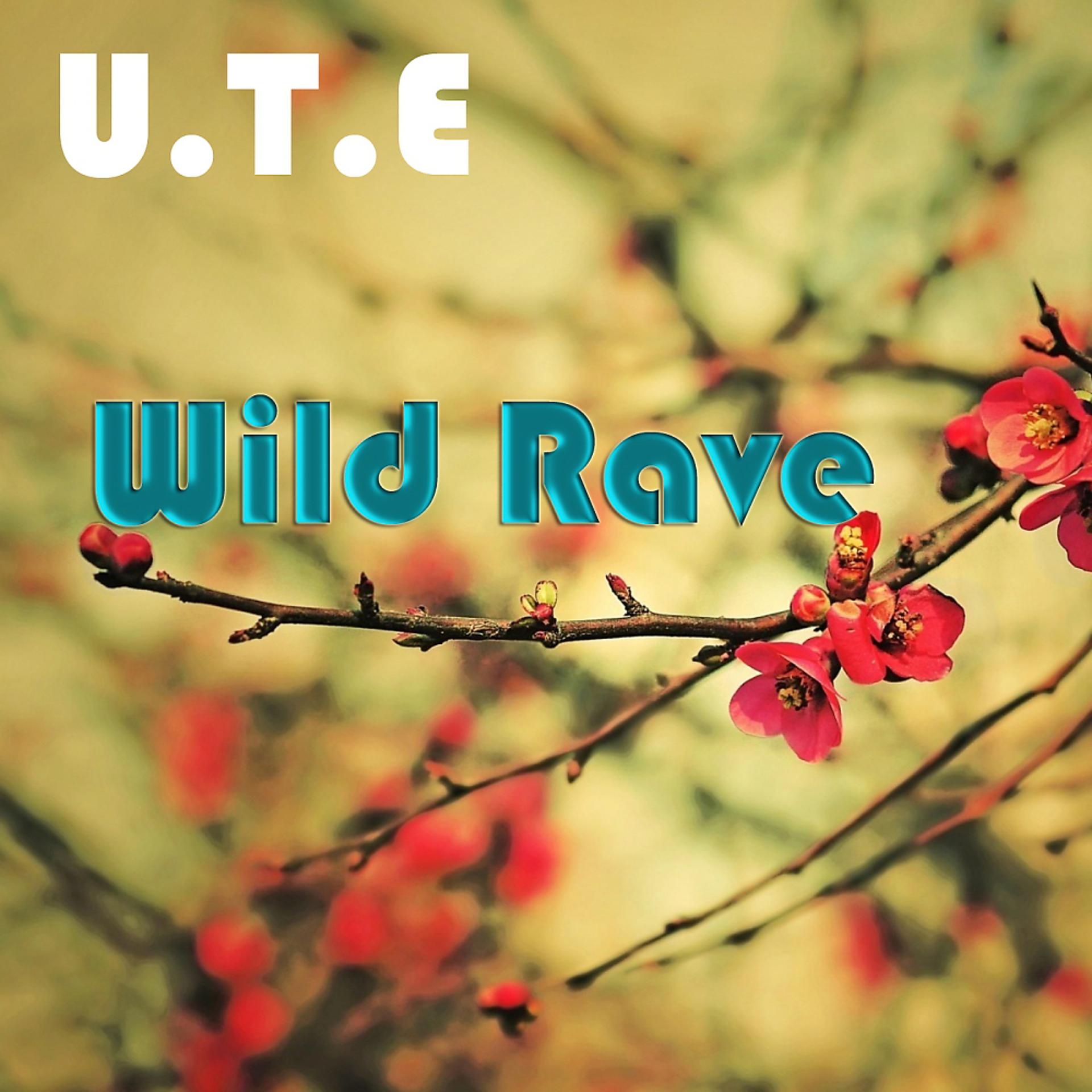 Постер альбома Wild Rave