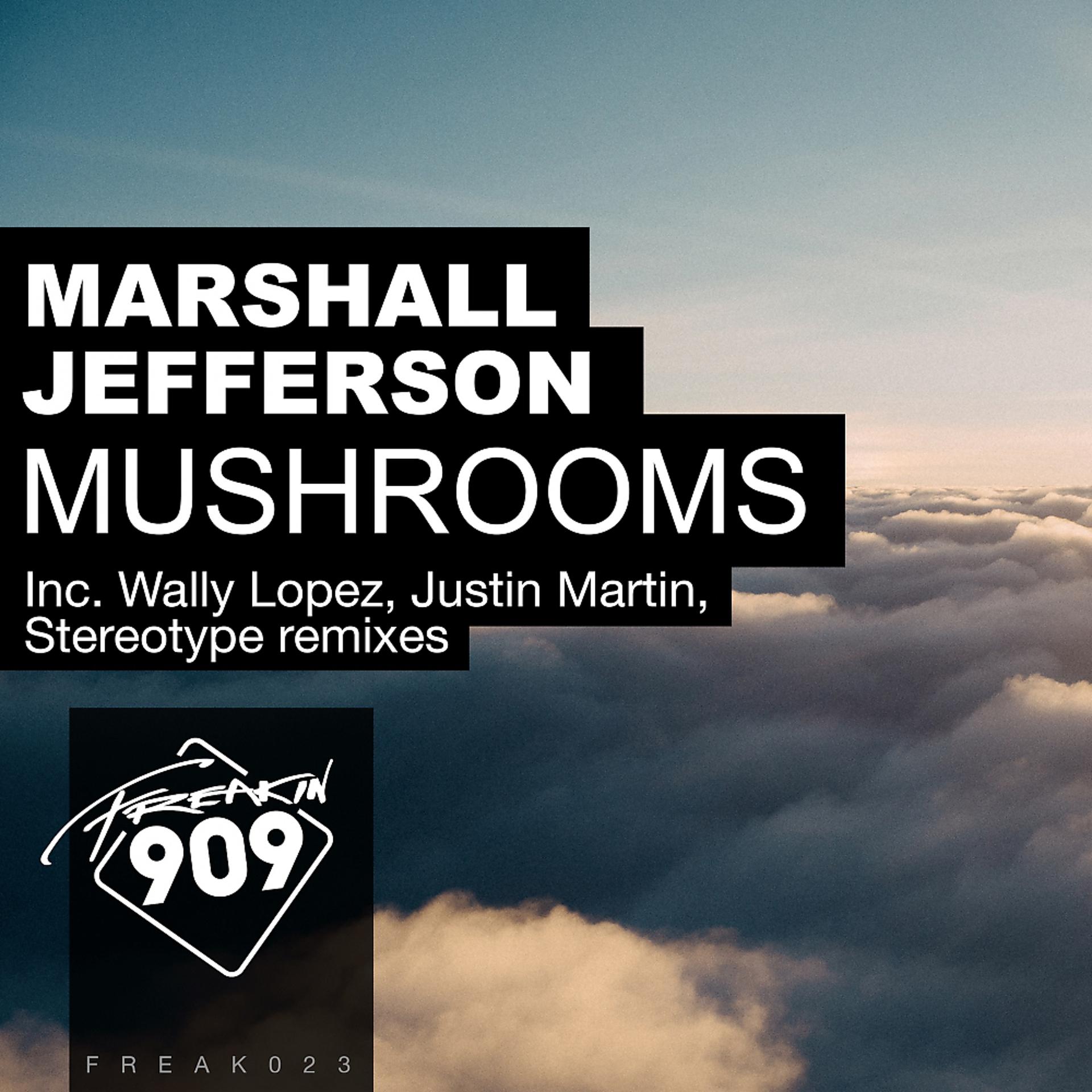 Постер альбома Mushrooms (Remixes, Pt. 2)