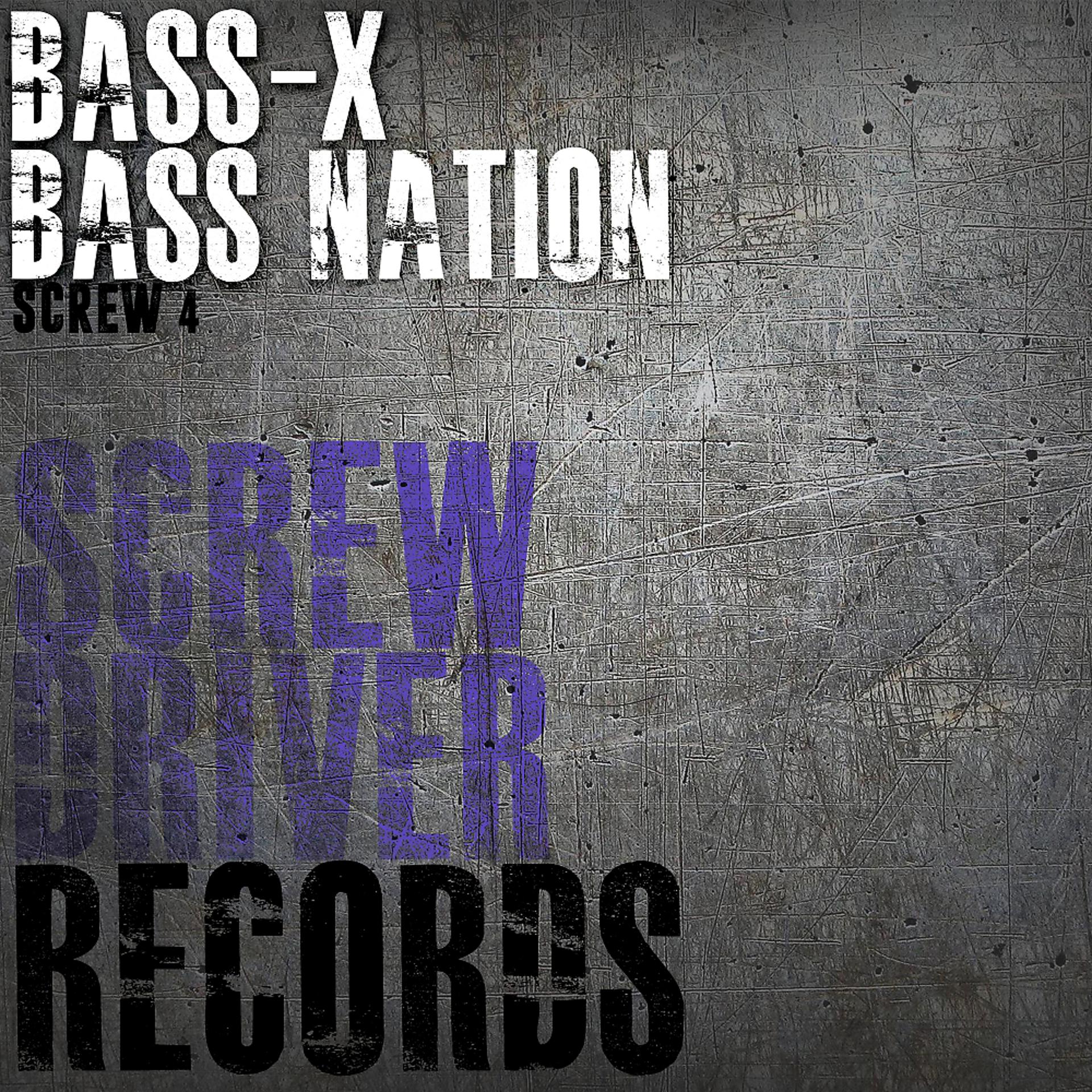 Постер альбома Bass Nation