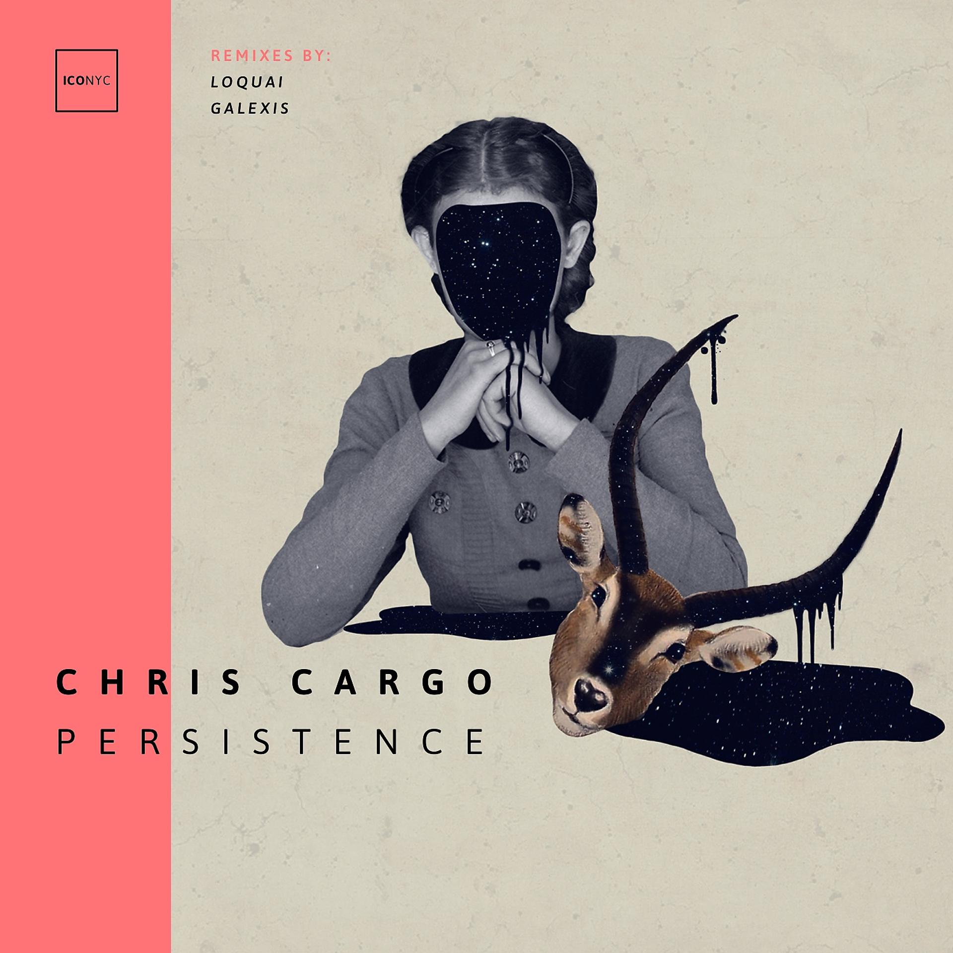 Постер альбома Persistence