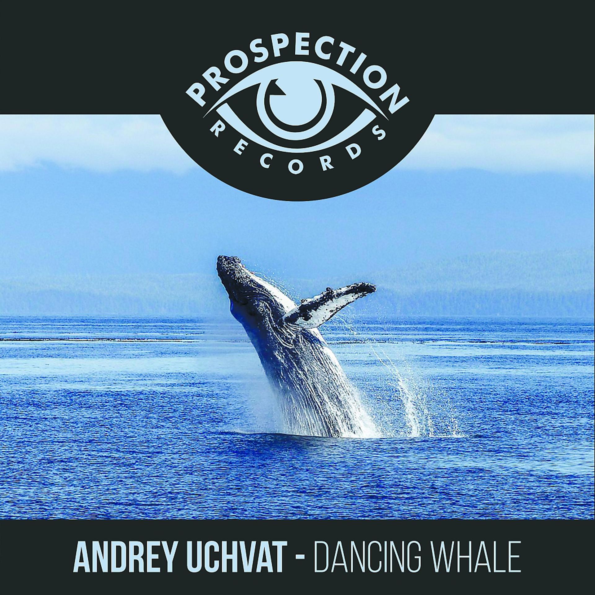 Постер альбома Dancing Whale