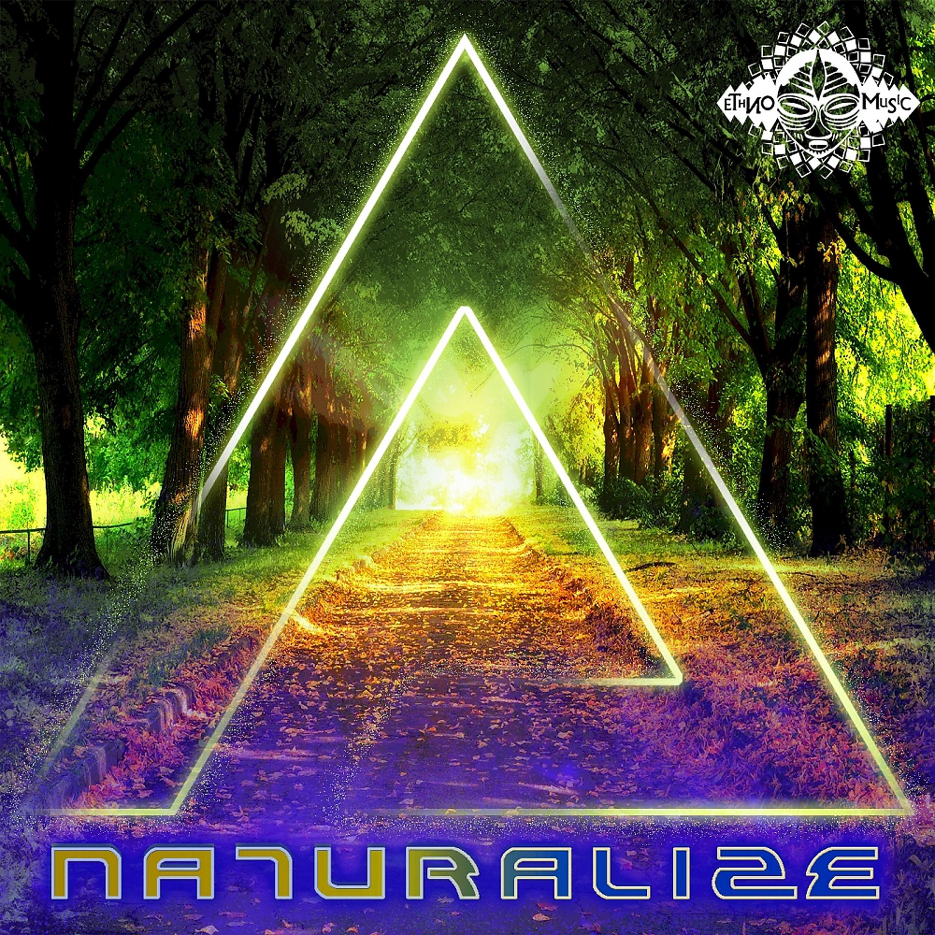 Постер альбома Naturalize