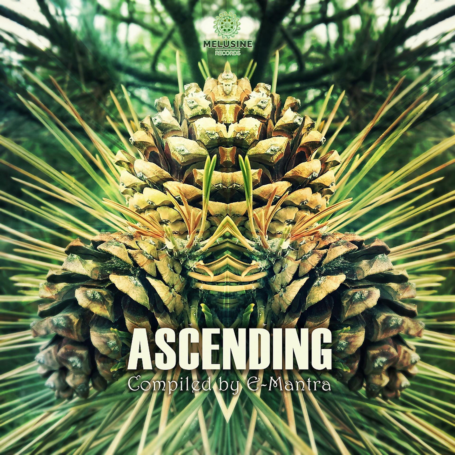 Постер альбома Ascending