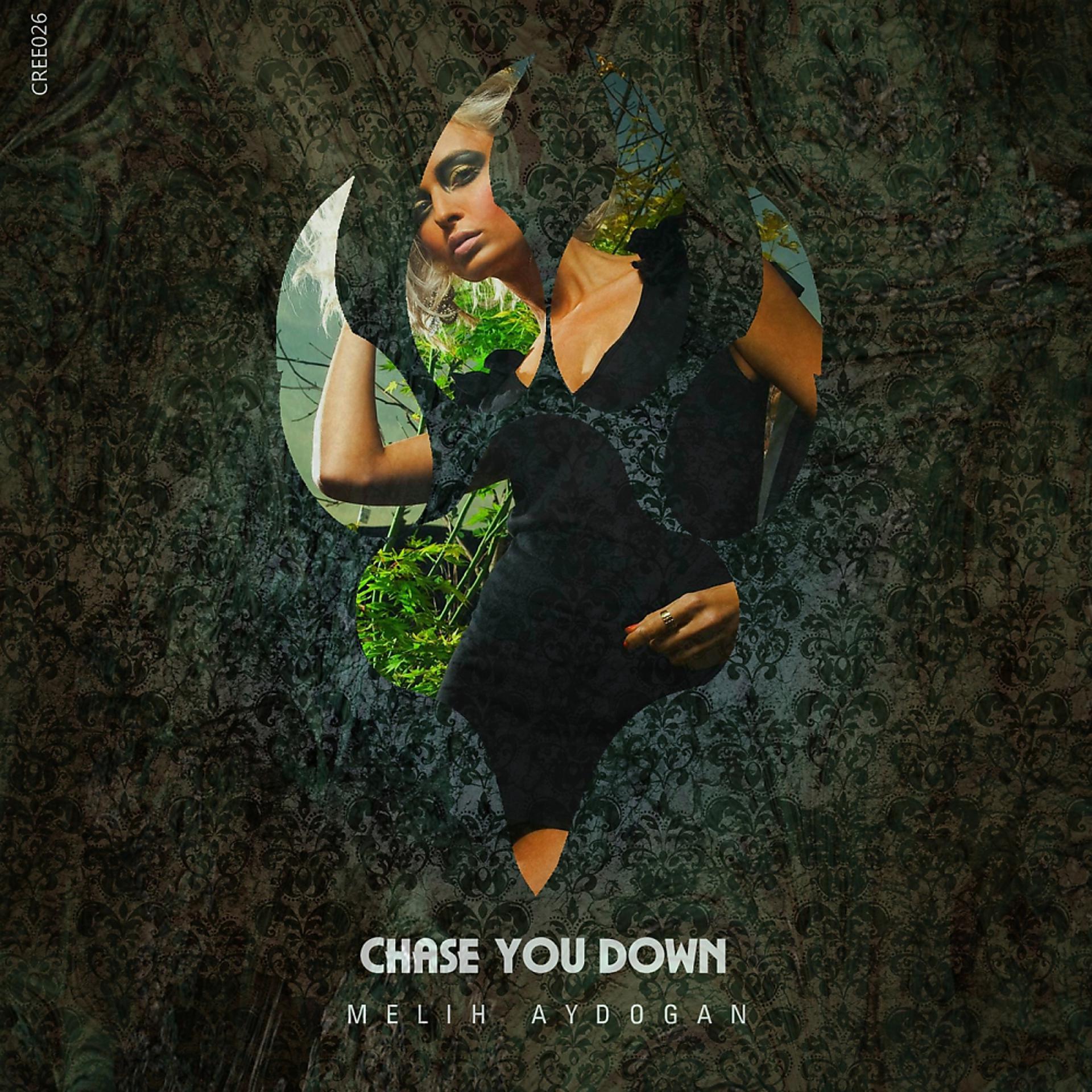 Постер альбома Chase You Down