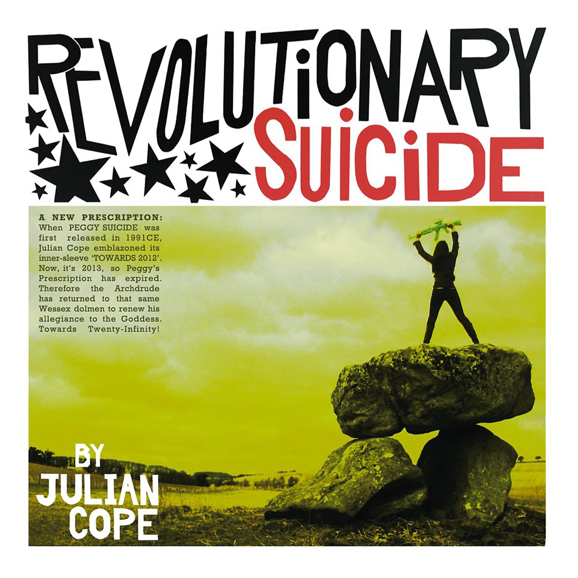 Постер альбома Revolutionary Suicide
