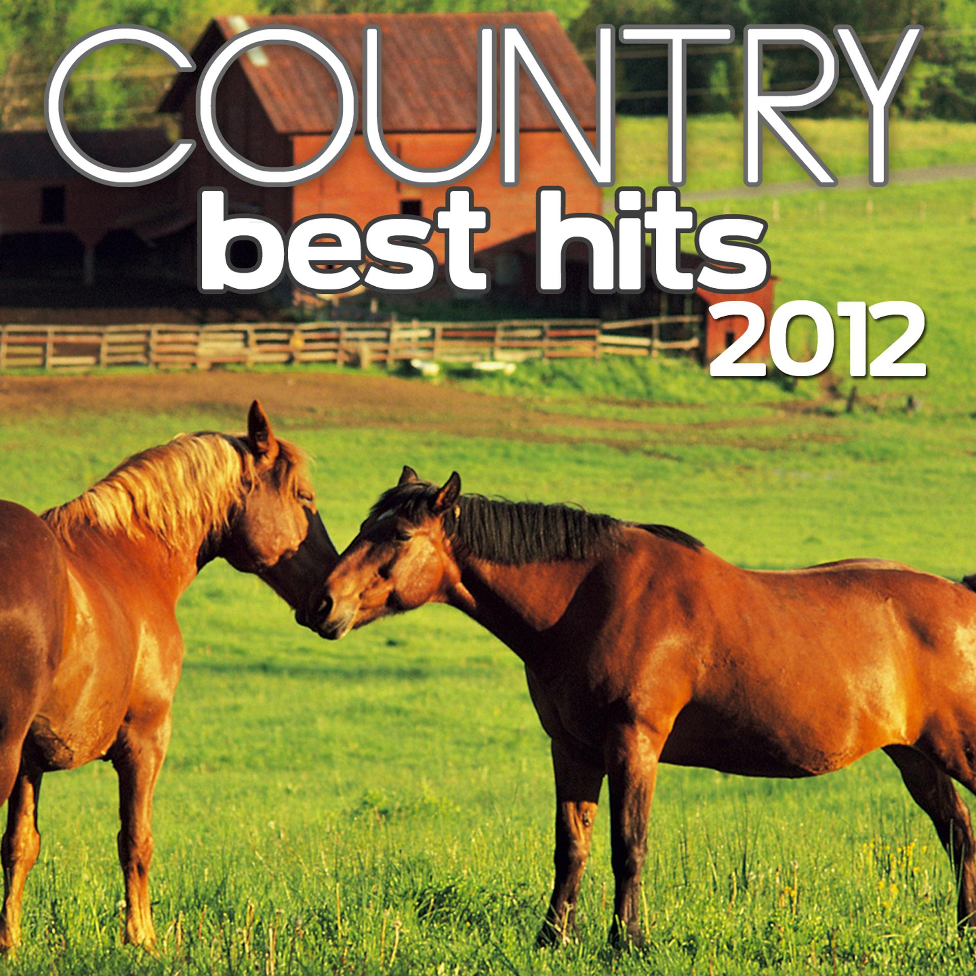 Постер альбома Country Best Hits 2012