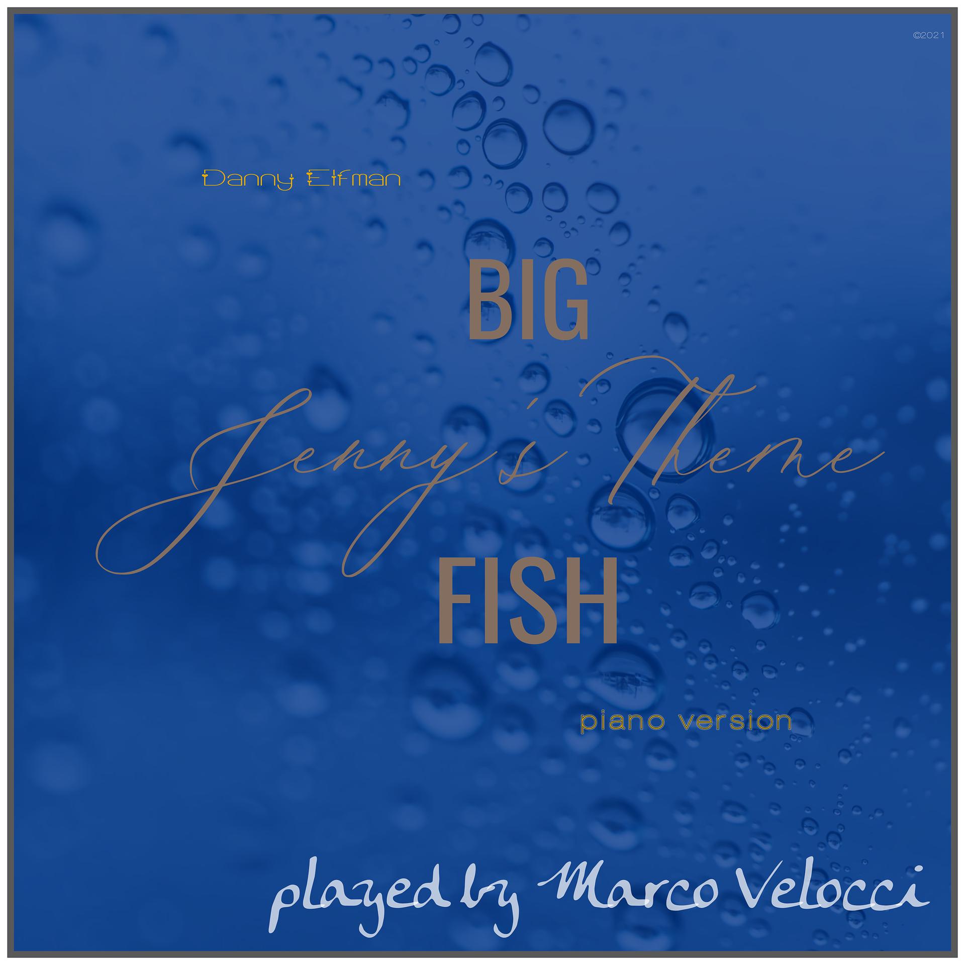 Постер альбома Jenny's Theme (Music Inspired by the Film) (From Big Fish (Piano Version))
