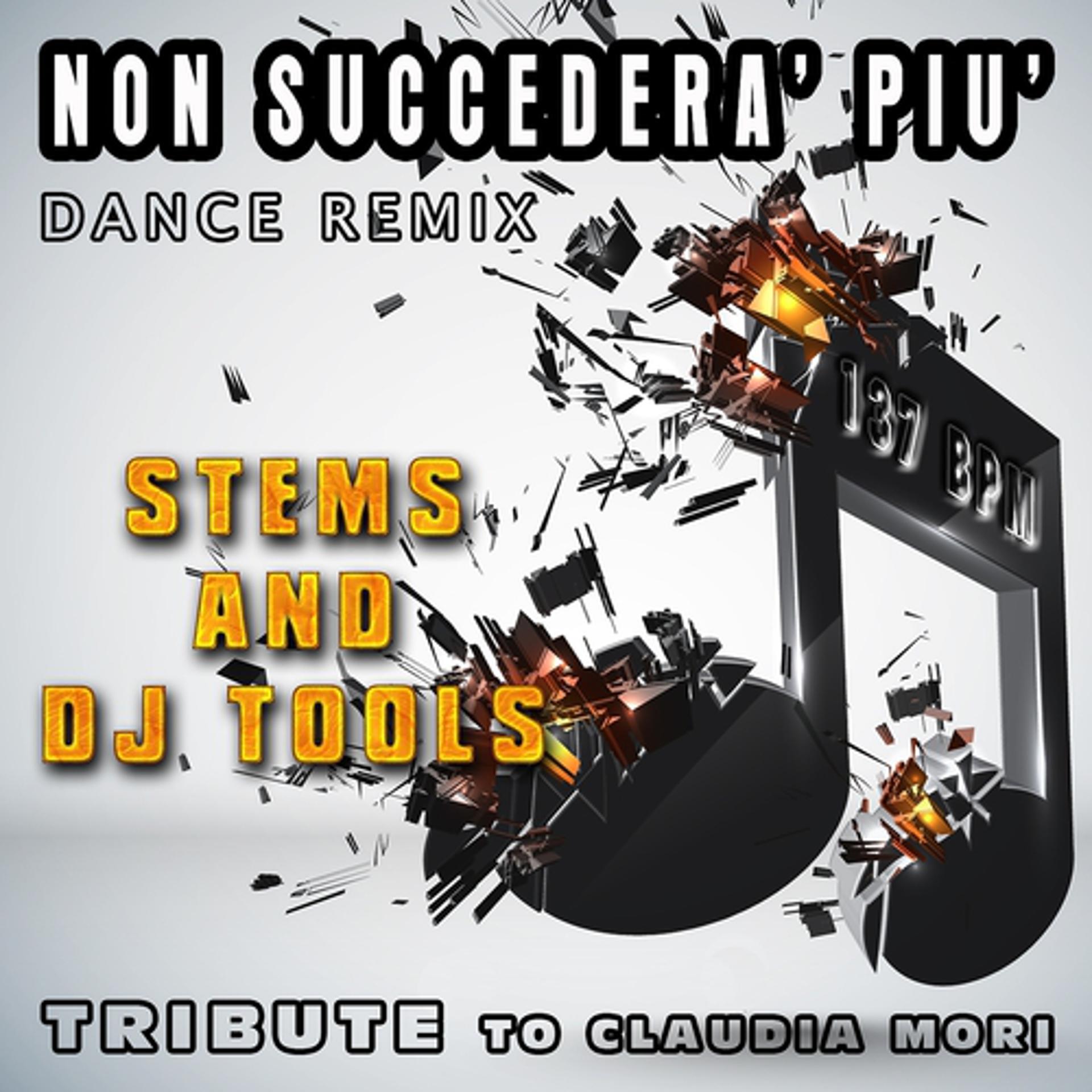 Постер альбома Non succedera' piu': Dance Remix, Stems and DJ Tools Tribute to Claudia Mori