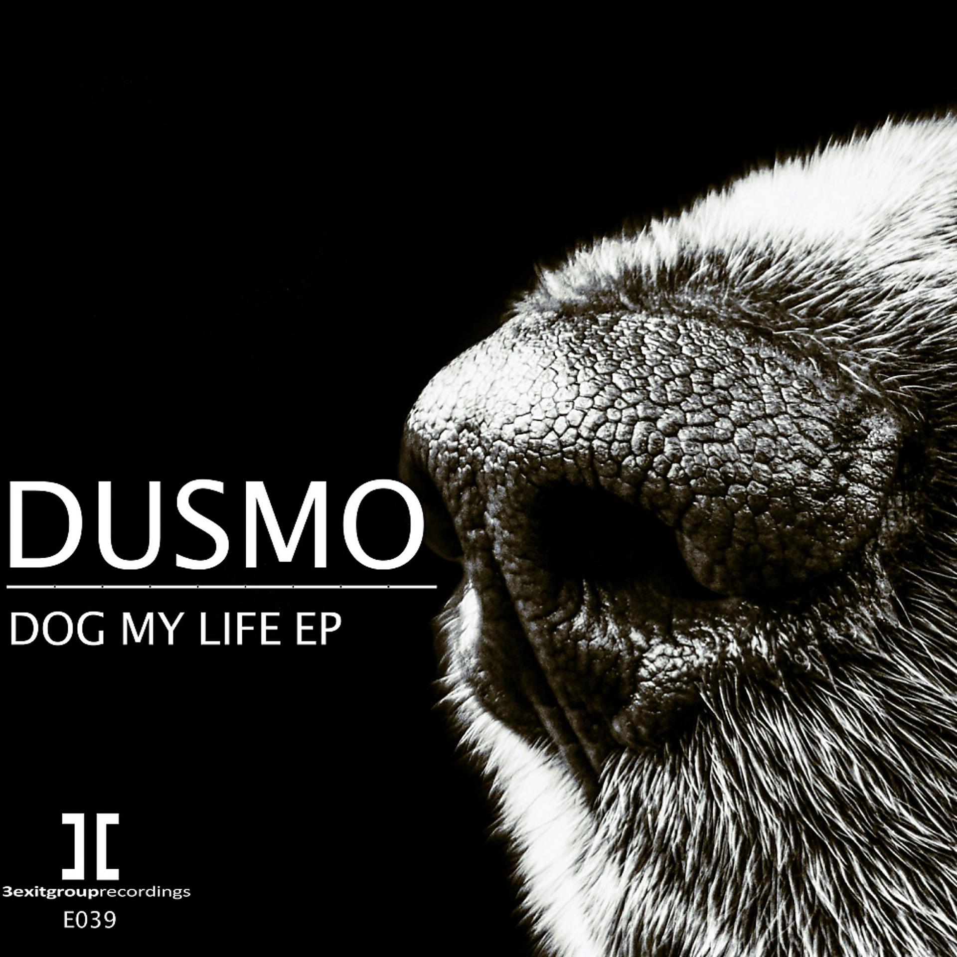 Постер альбома Dog My Life
