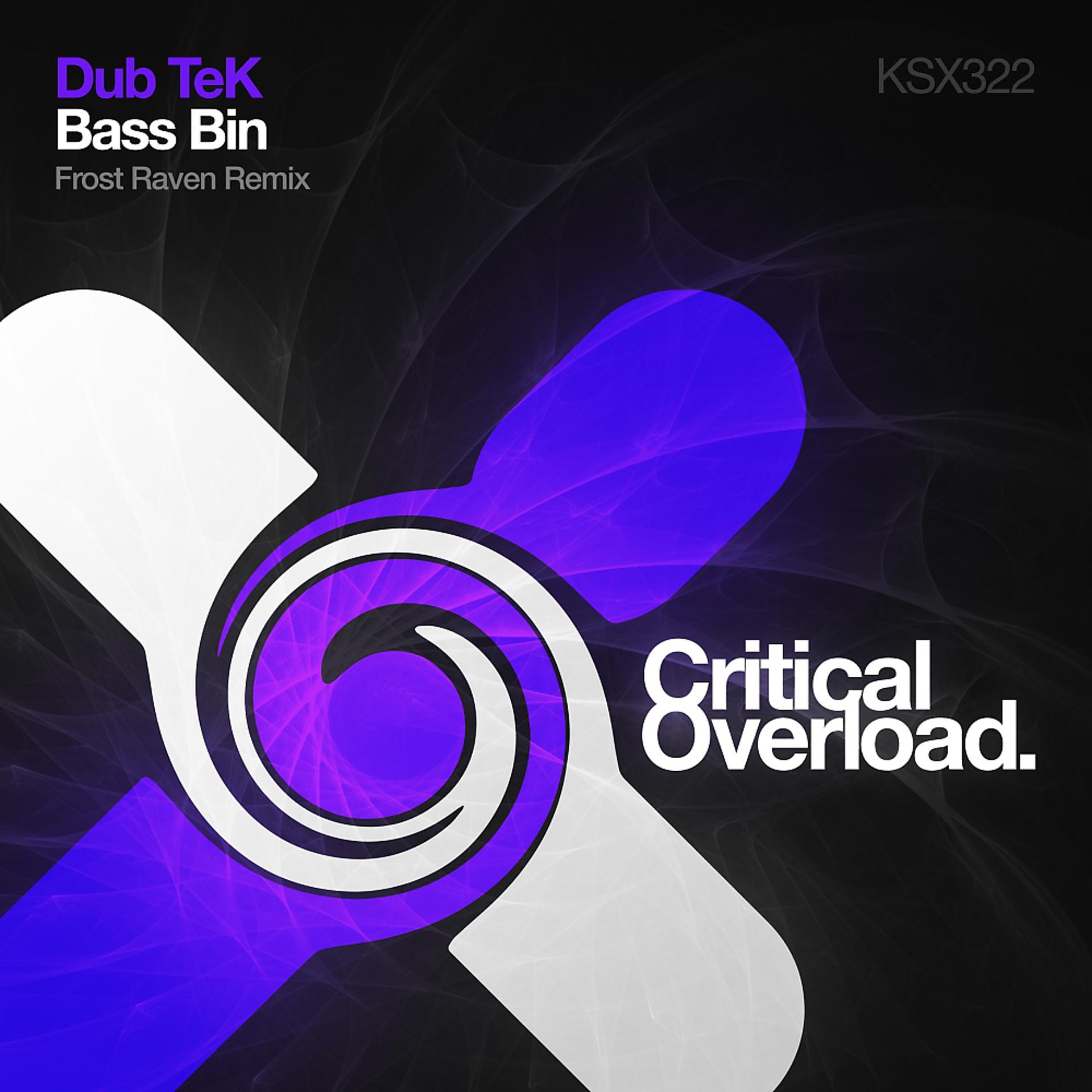 Постер альбома Bass Bin (Frost Raven Remix)