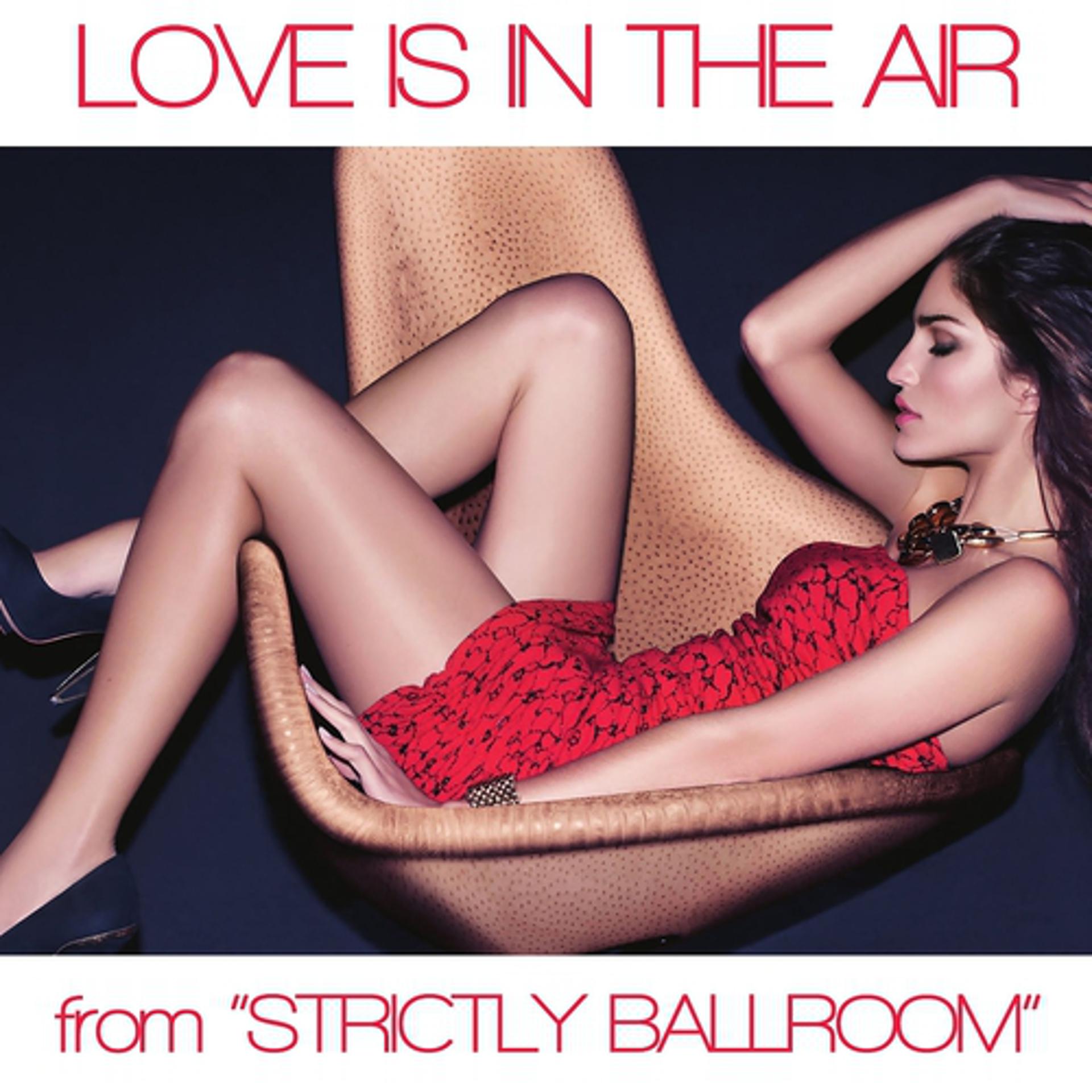 Постер альбома Love Is in the Air (From "Stricly Ballroom")
