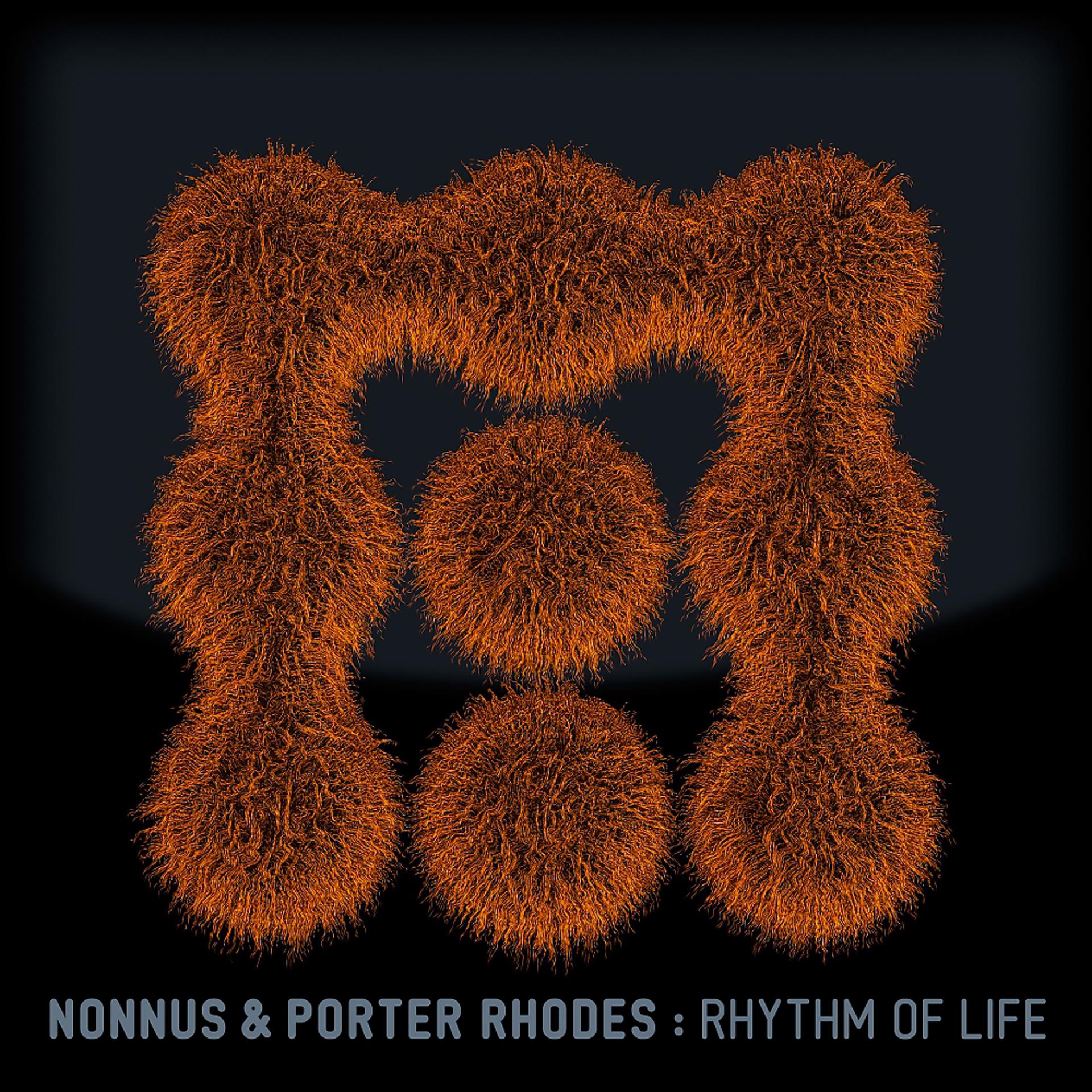 Постер альбома Rhythm Of Life