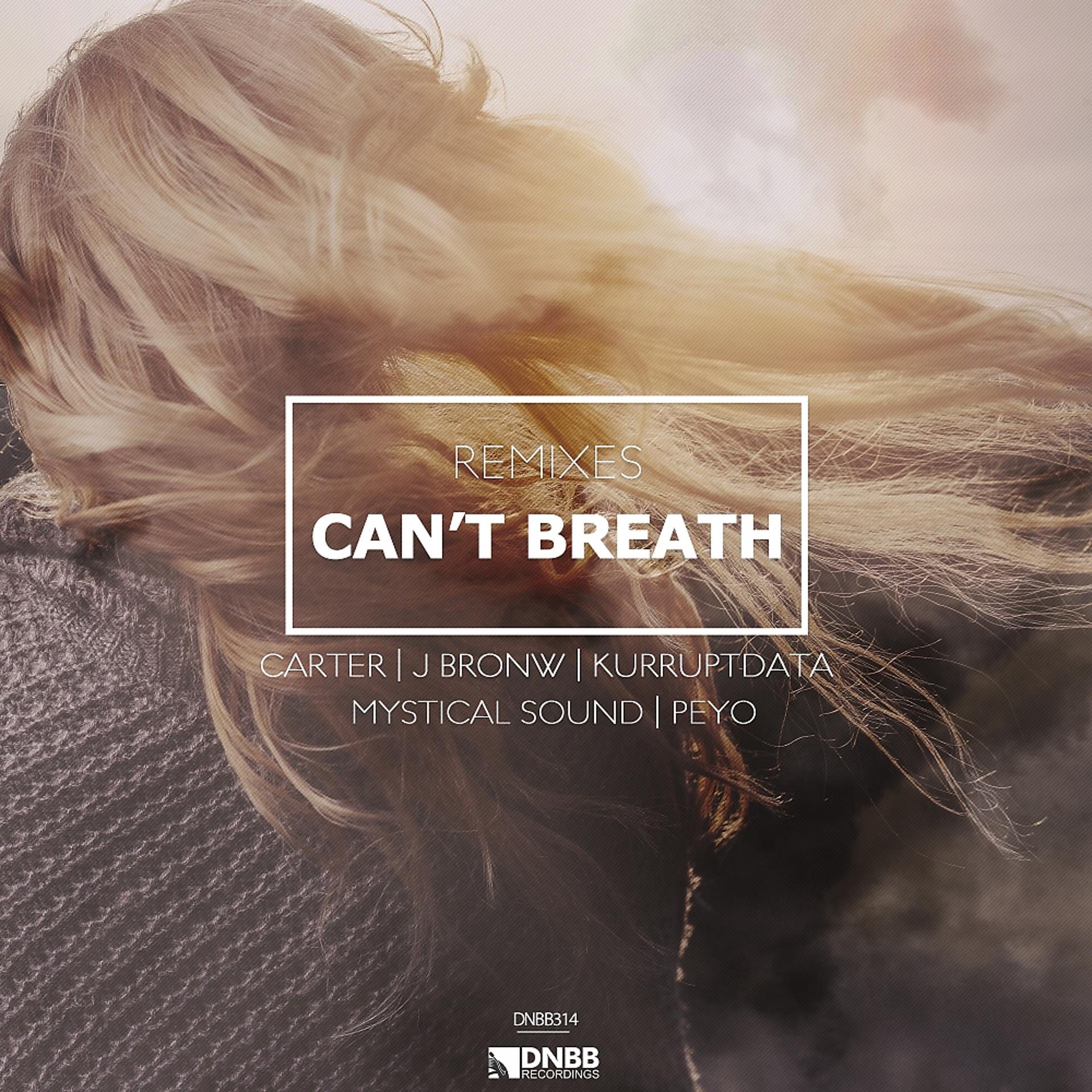 Постер альбома Can't Breath Remixes