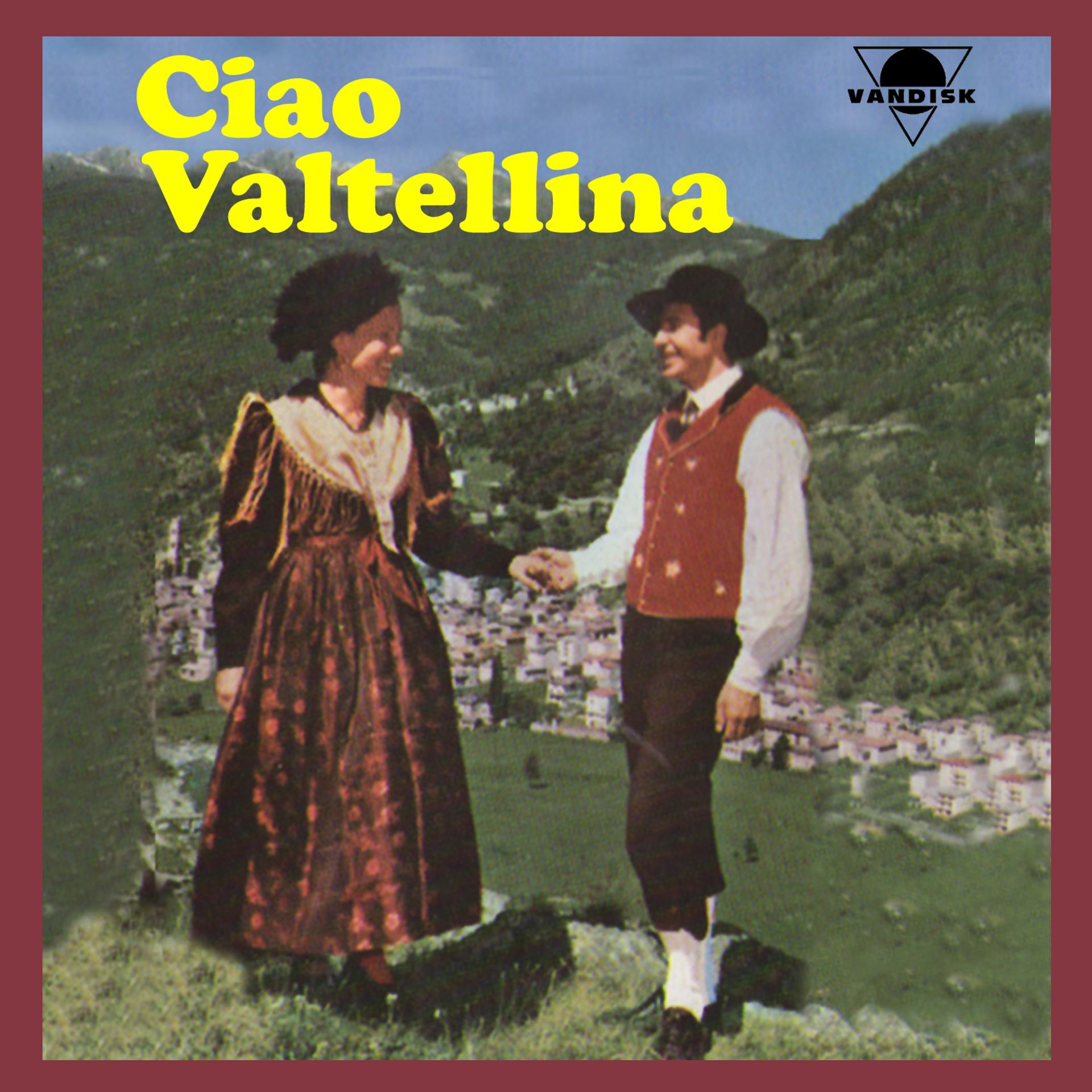 Постер альбома Ciao Valtellina
