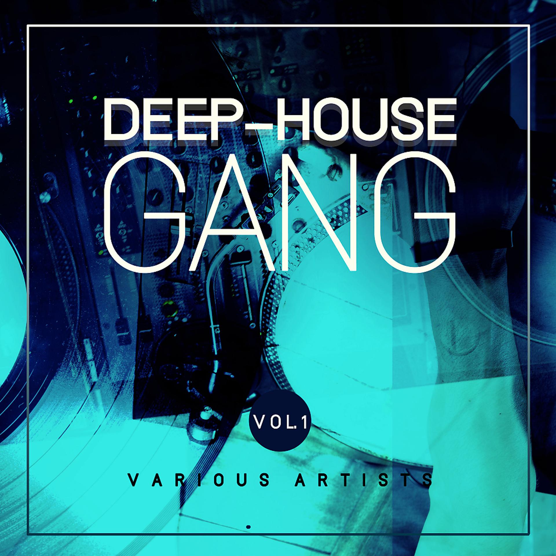 Постер альбома Deep-House Gang, Vol. 1