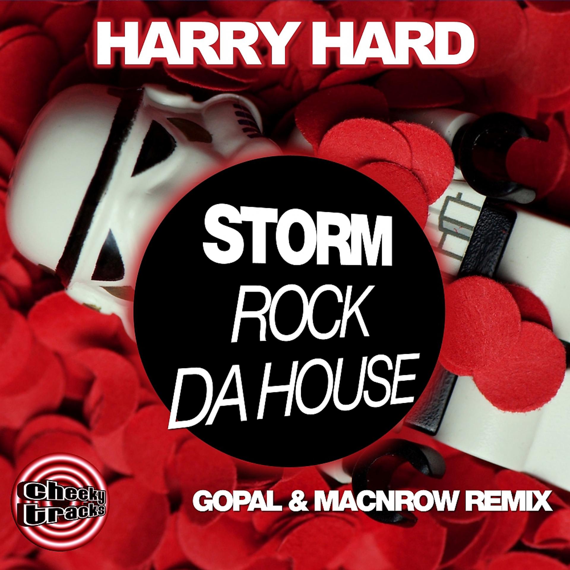 Постер альбома Storm (Rock Da House) (Gopal & Macnrow Remix)
