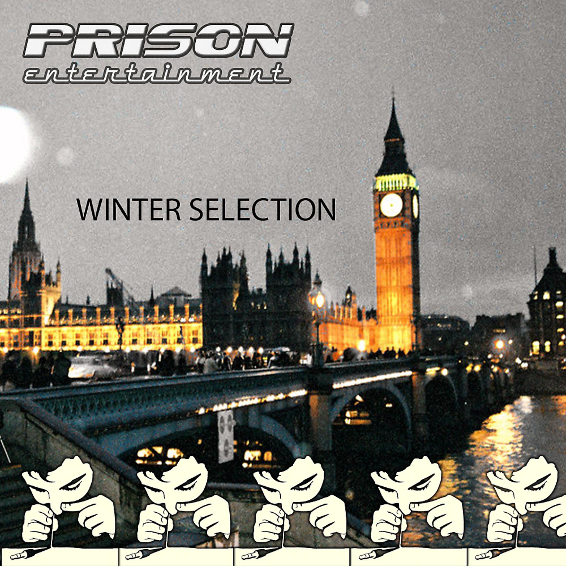 Постер альбома Winter Selection