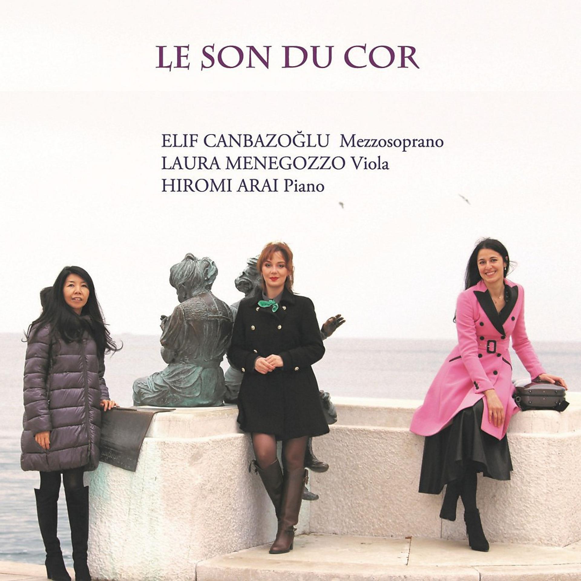 Постер альбома Le son du cor