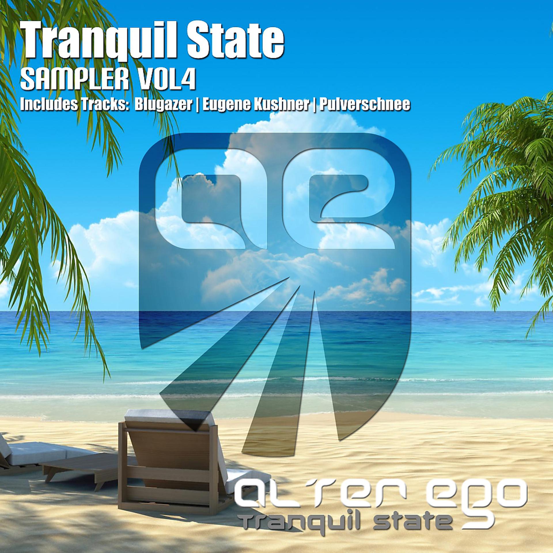 Постер альбома Tranquil State: Sampler 04