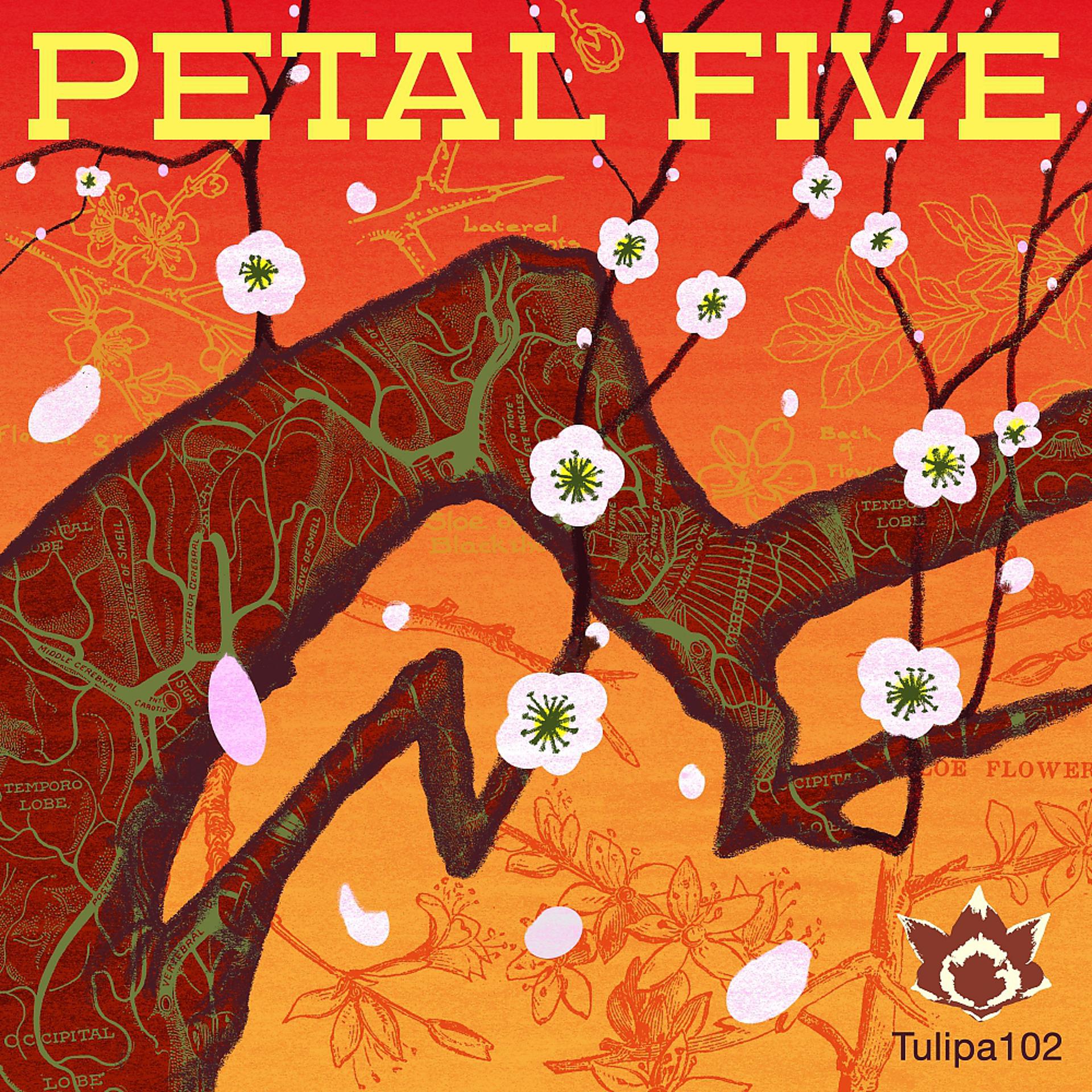 Постер альбома Petal Five