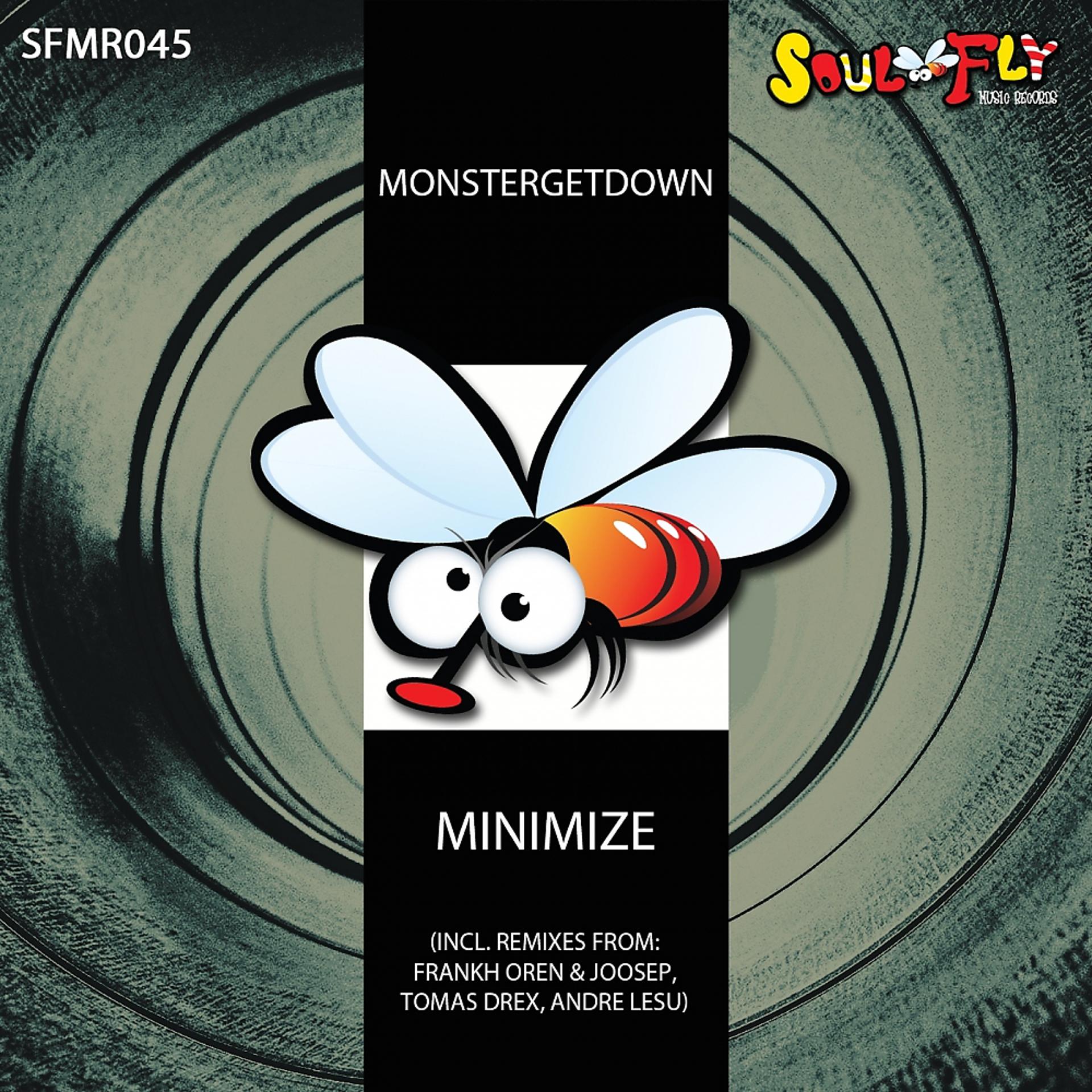 Постер альбома Minimize