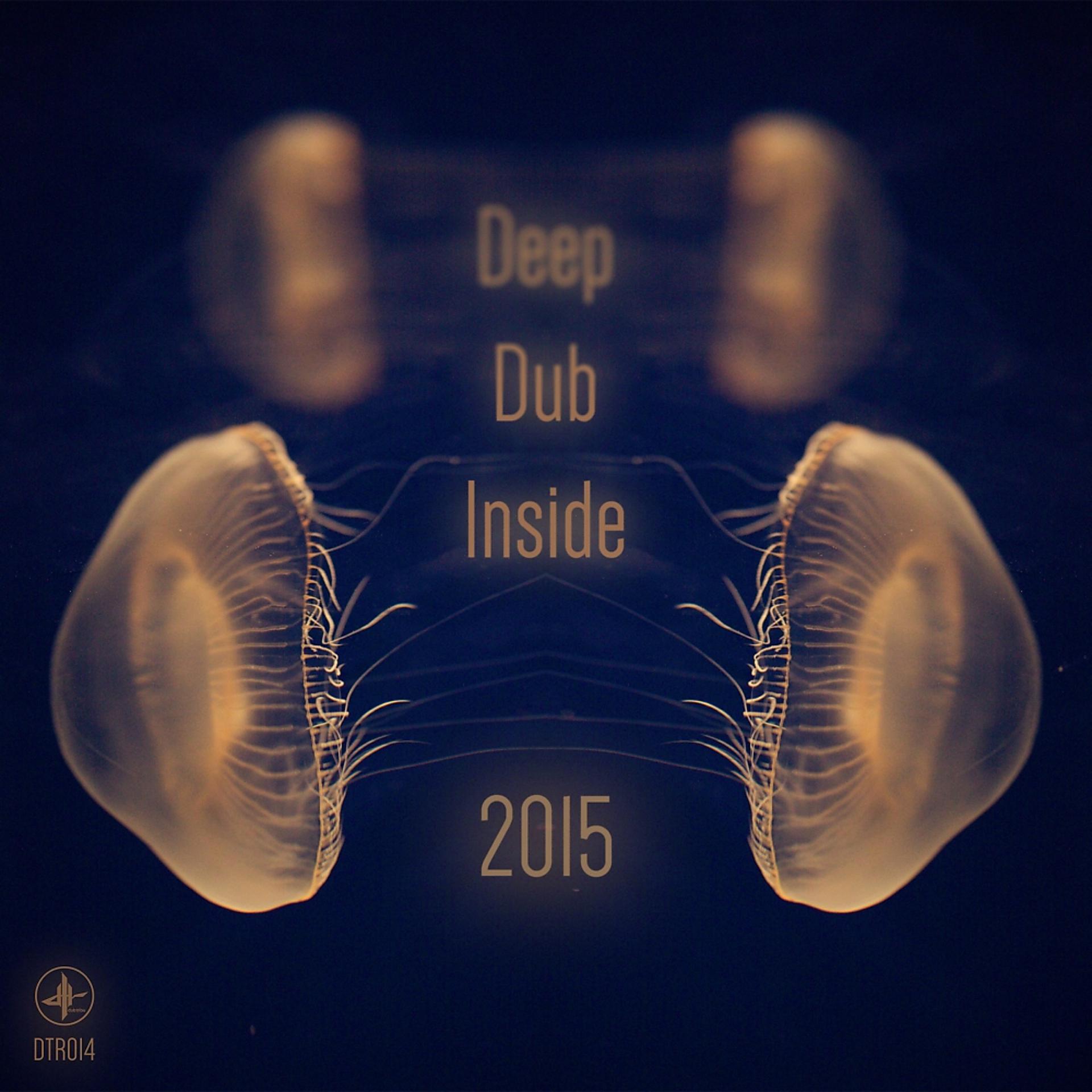 Постер альбома Deep Dub Inside 2015