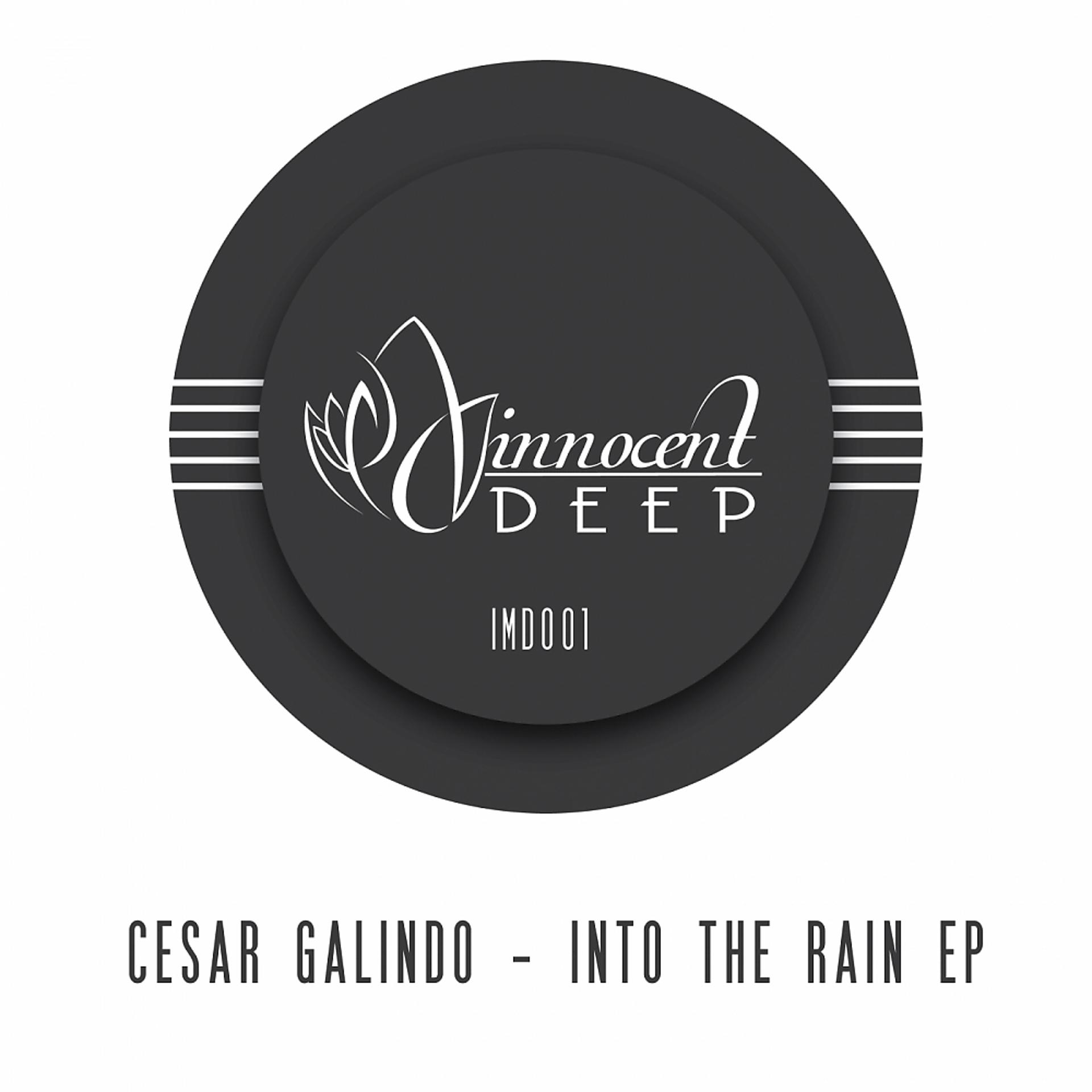 Постер альбома Into The Rain EP