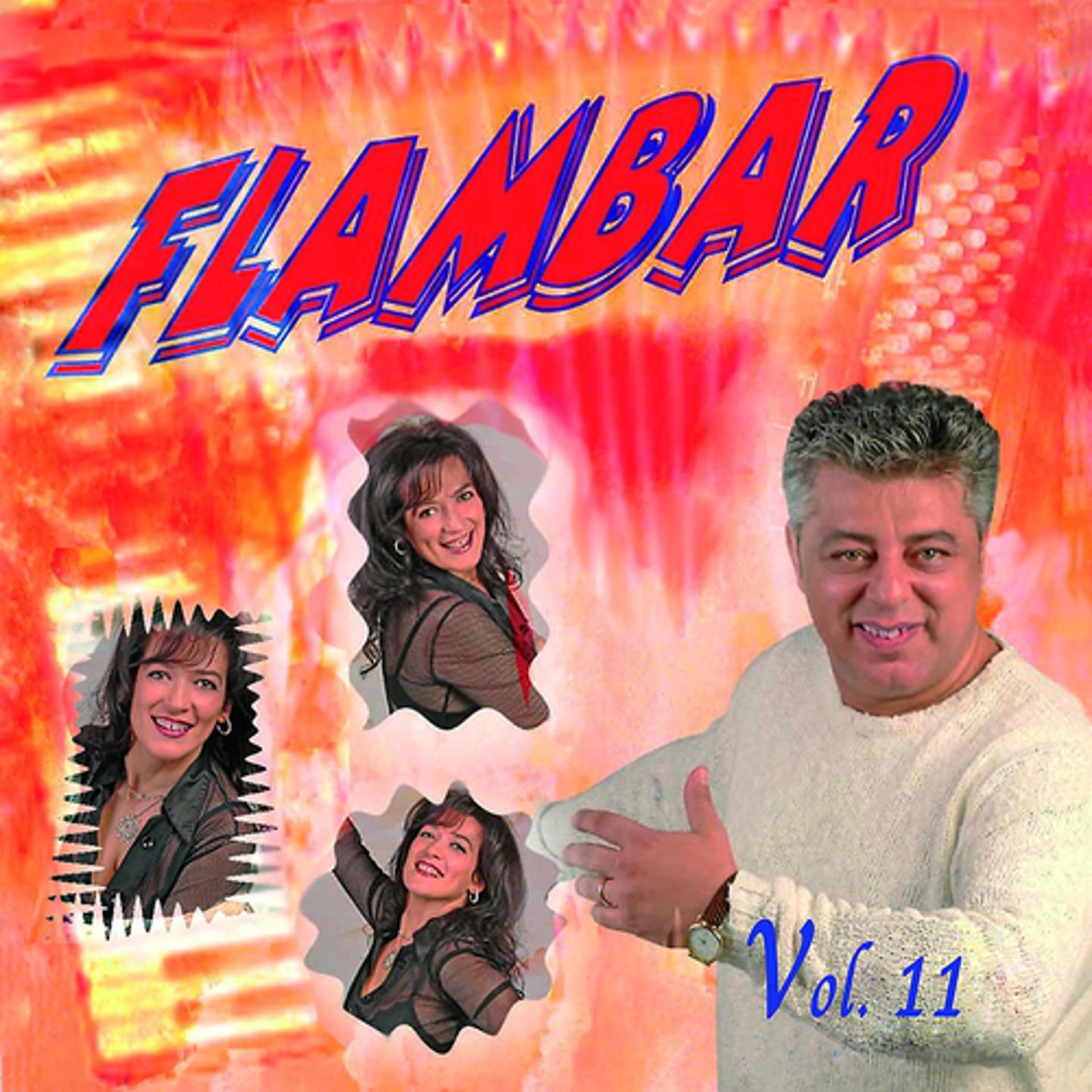 Постер альбома Flambar, Vol. 11
