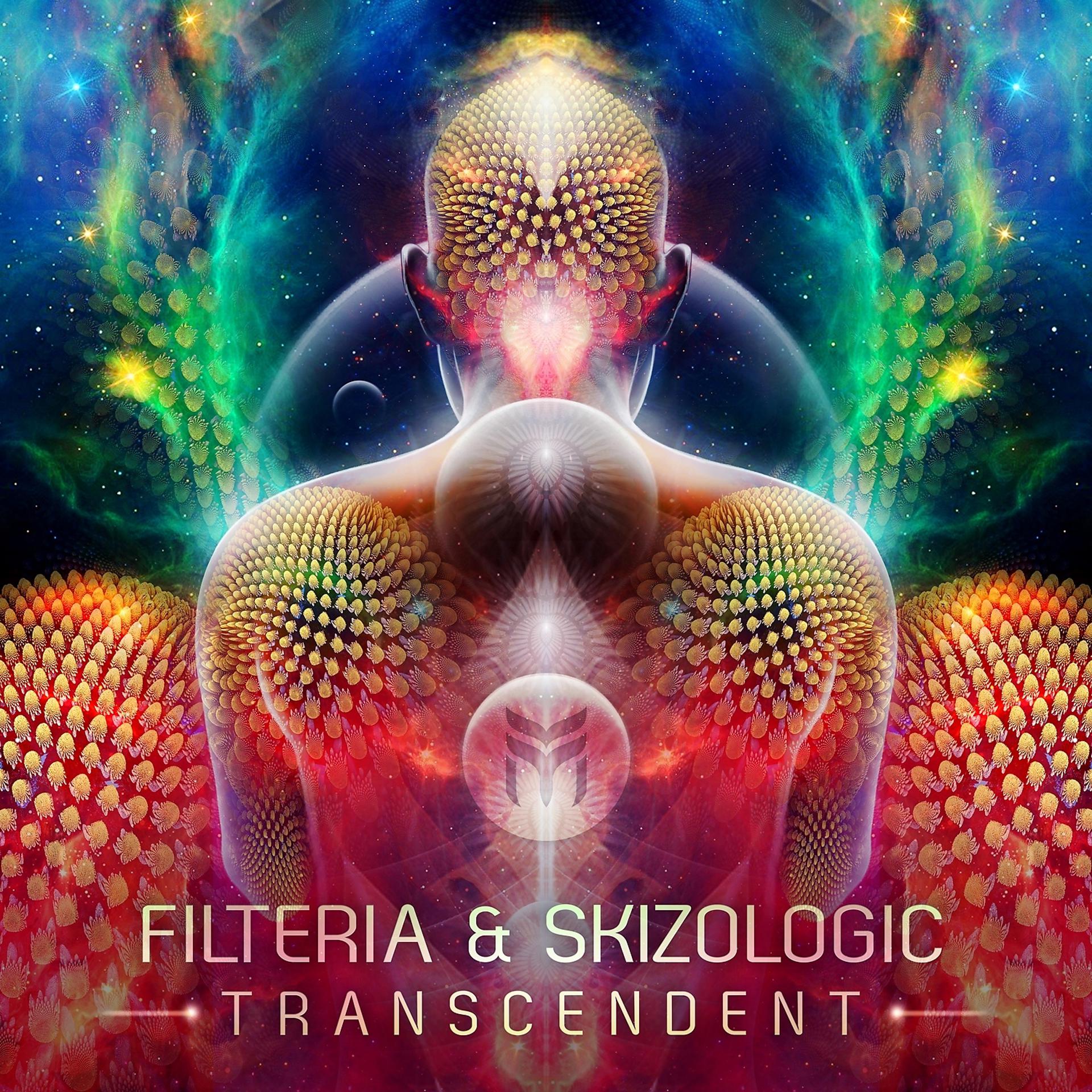 Постер альбома Transcendent