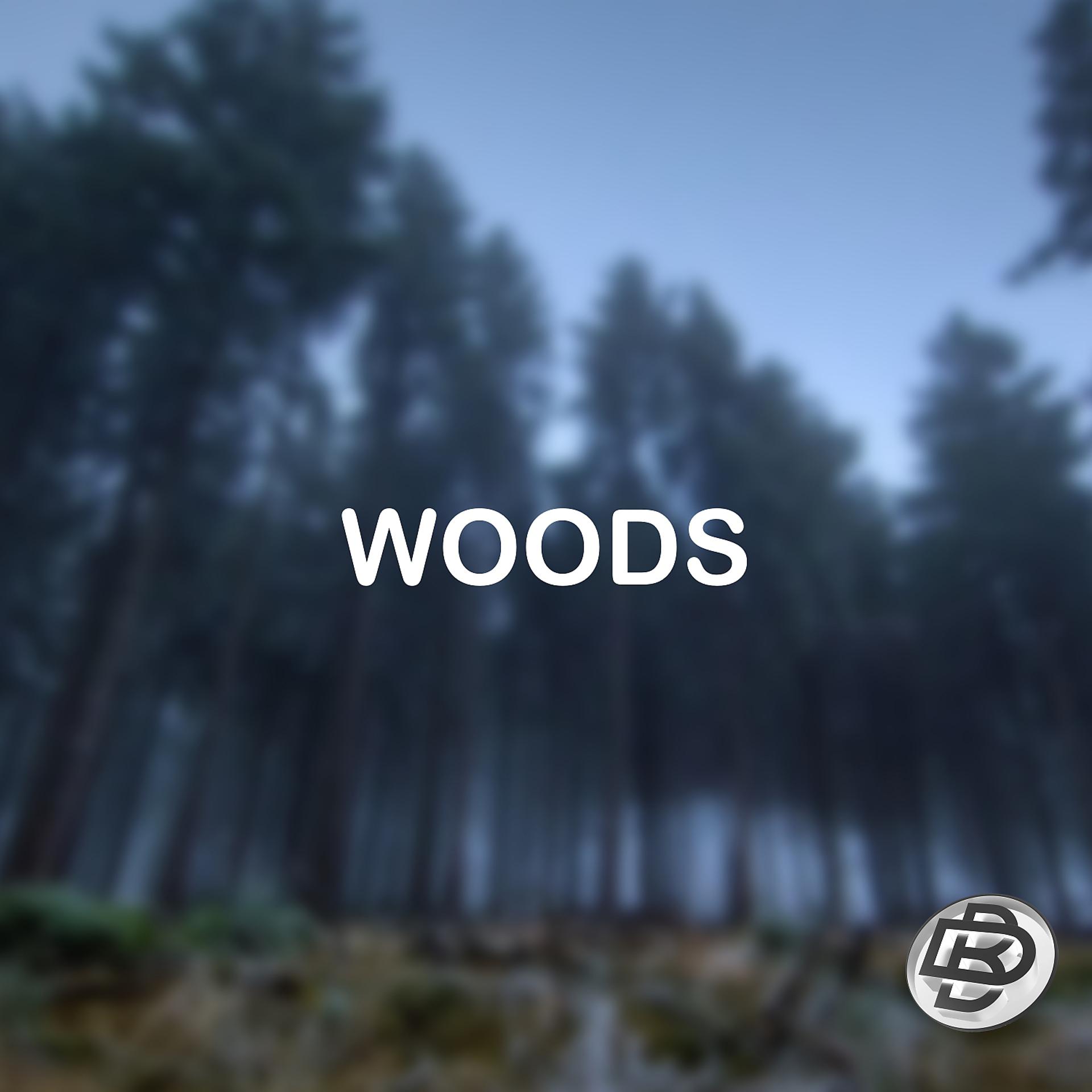 Постер альбома Woods