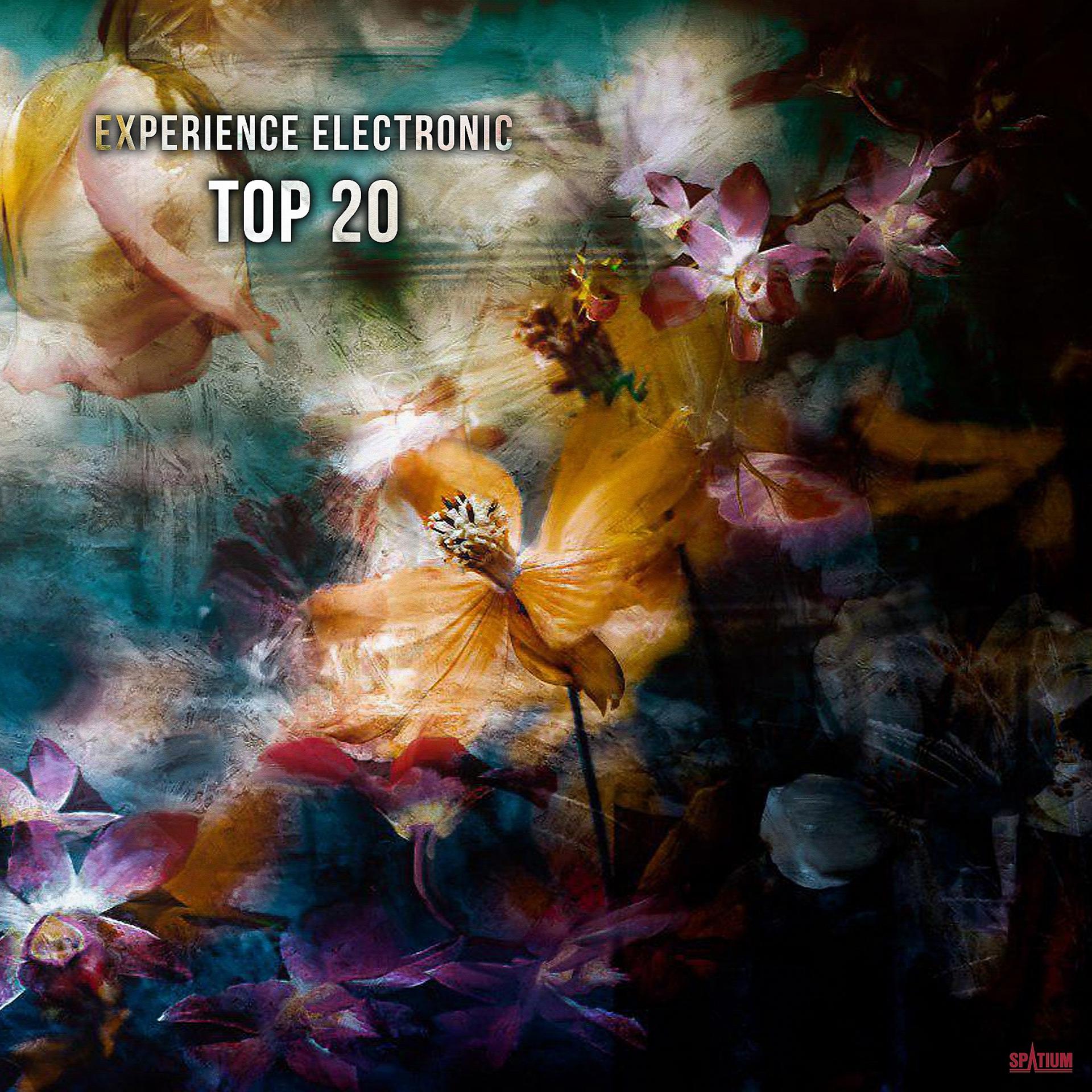 Постер альбома Experience Electronic Top 20