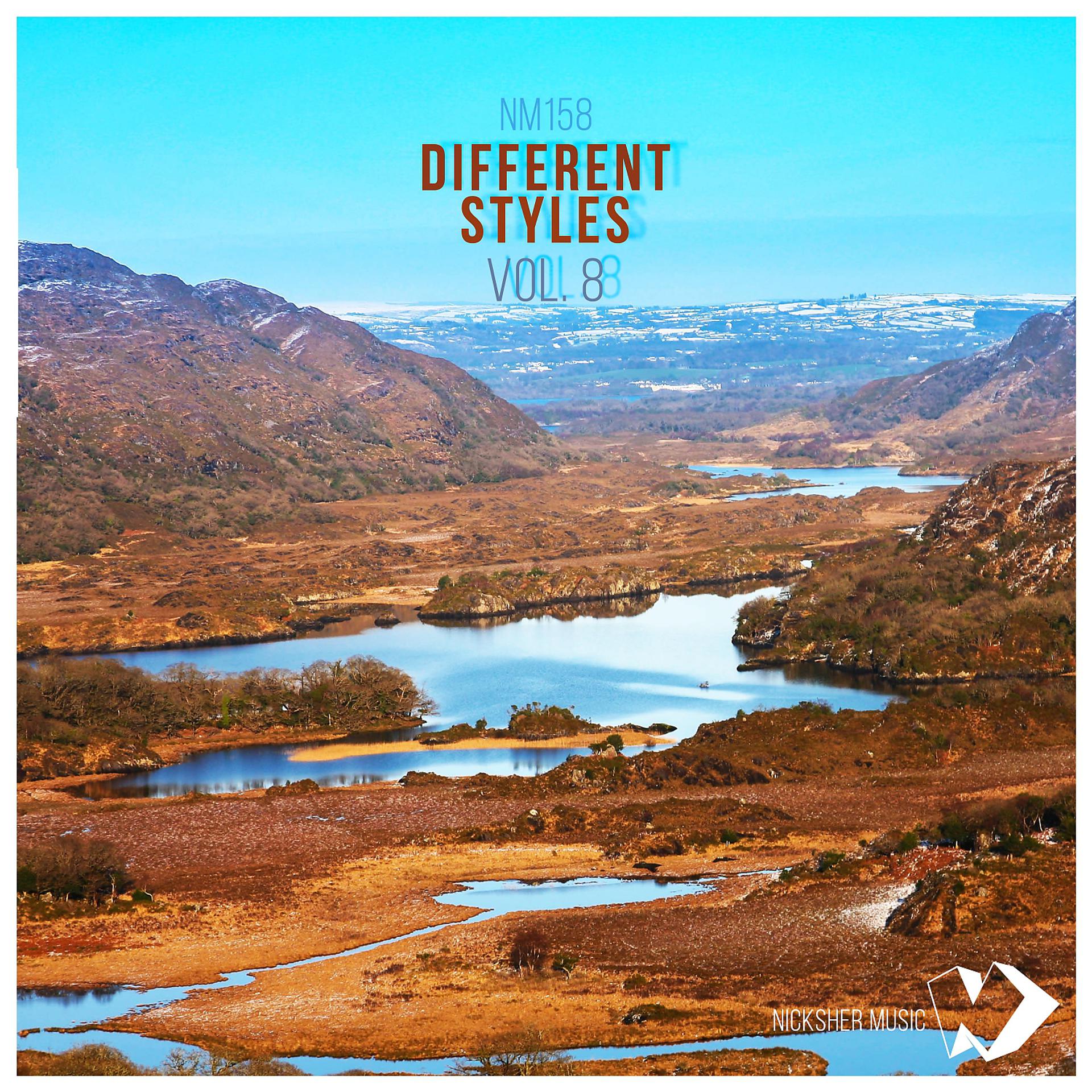 Постер альбома Different Styles Vol.8