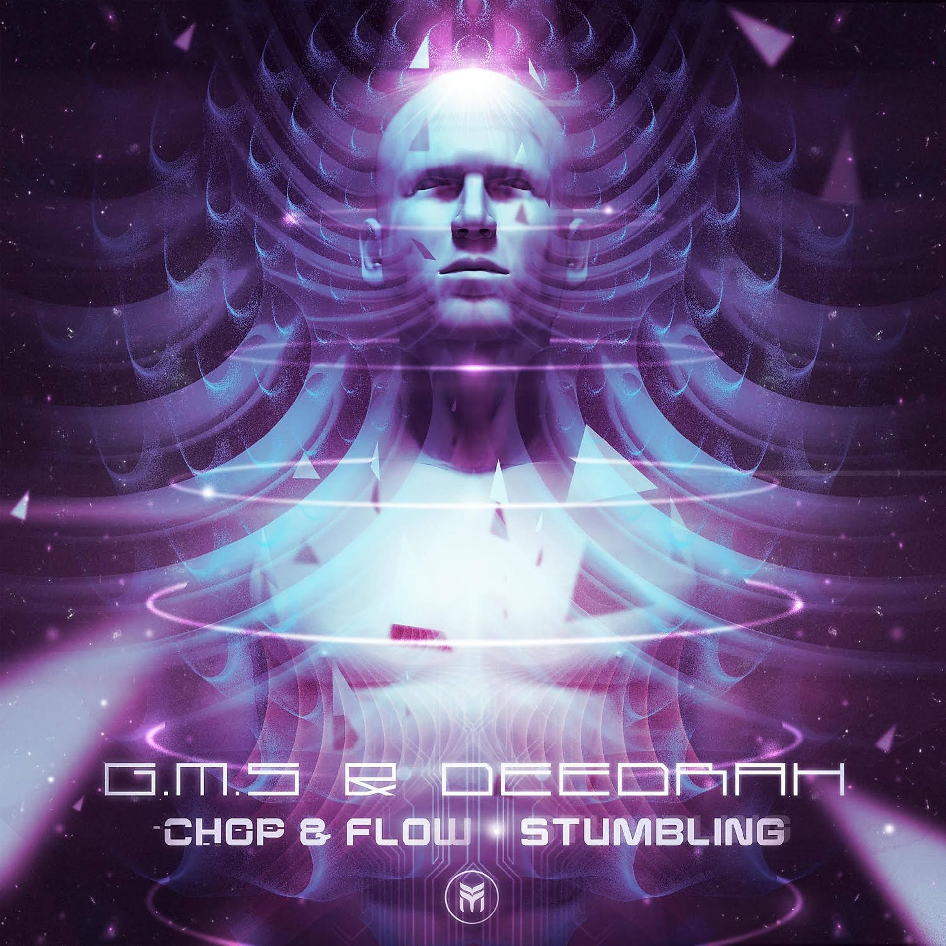 Постер альбома Chop & Flow