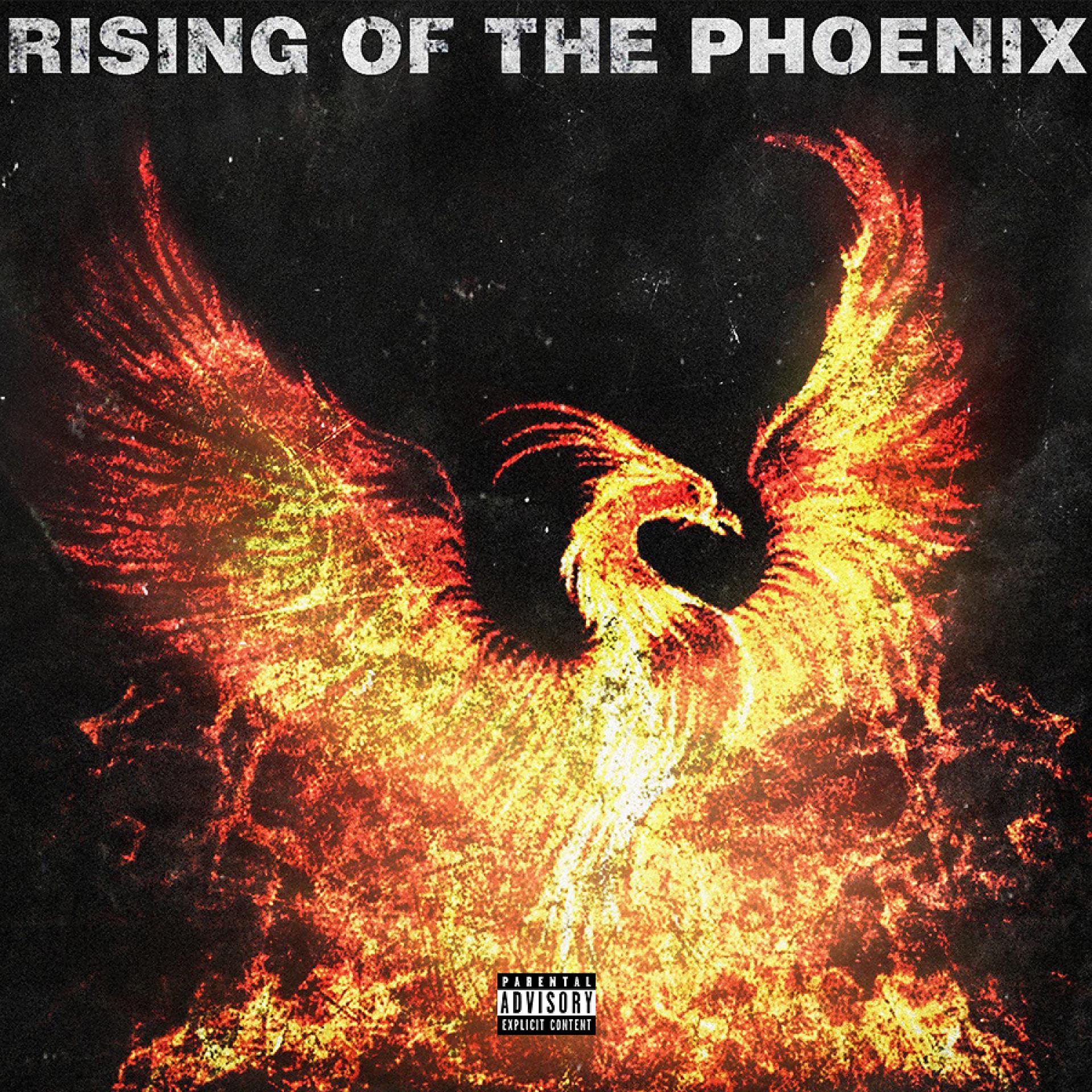 Постер альбома Rising of the Phoenix