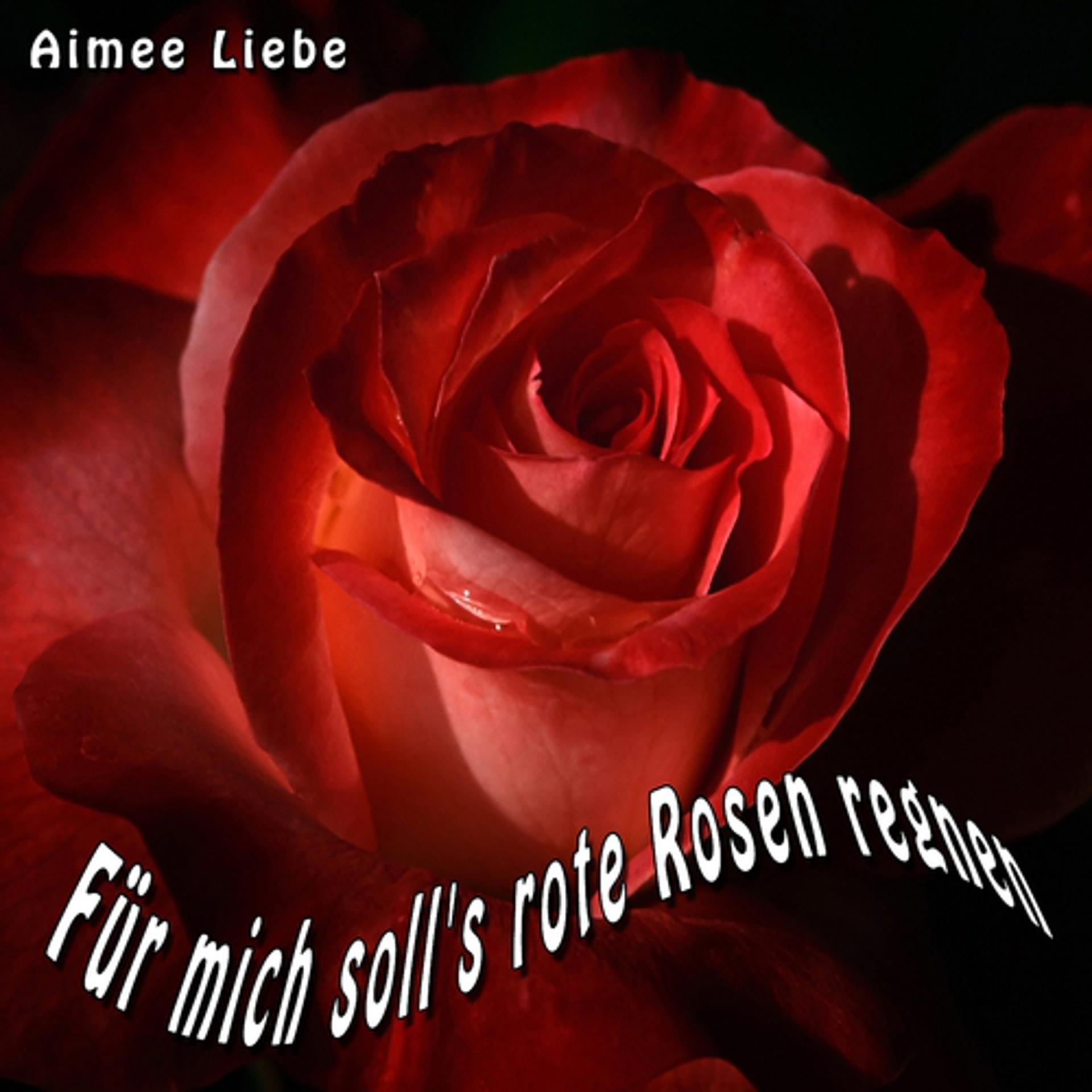 Постер альбома Für mich soll's rote Rosen regnen