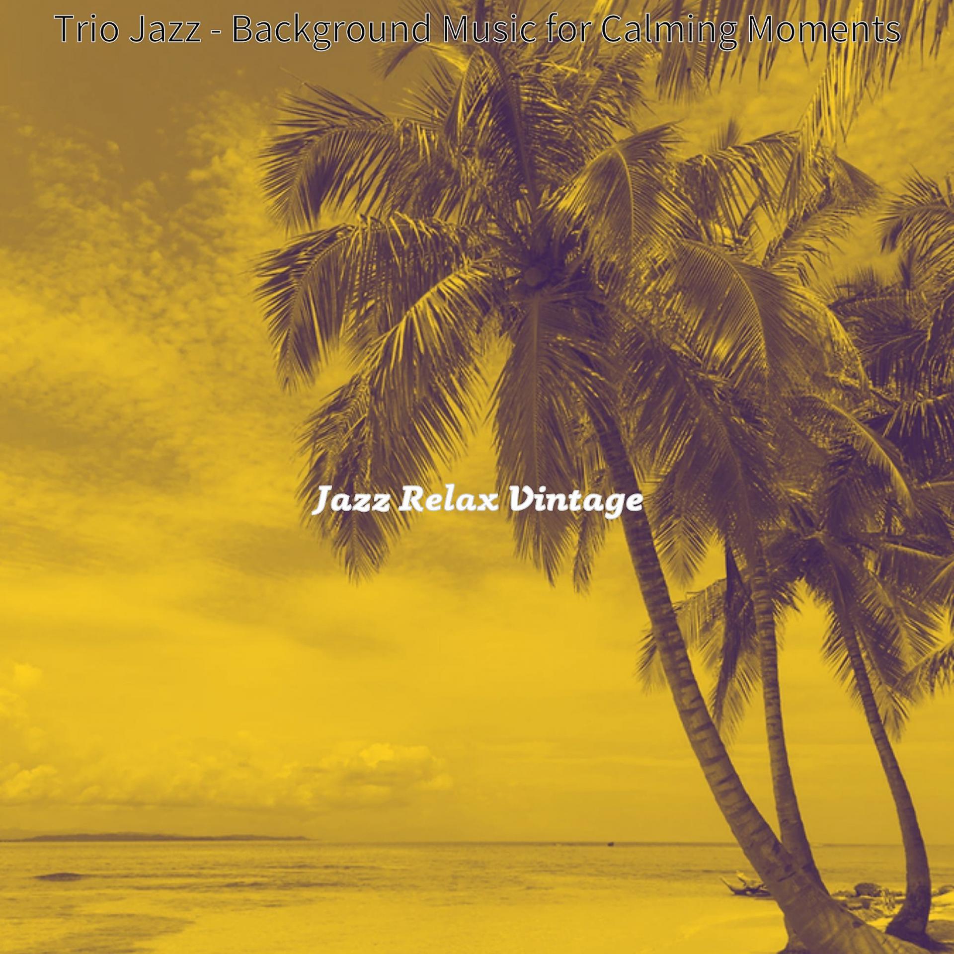 Постер альбома Trio Jazz - Background Music for Calming Moments