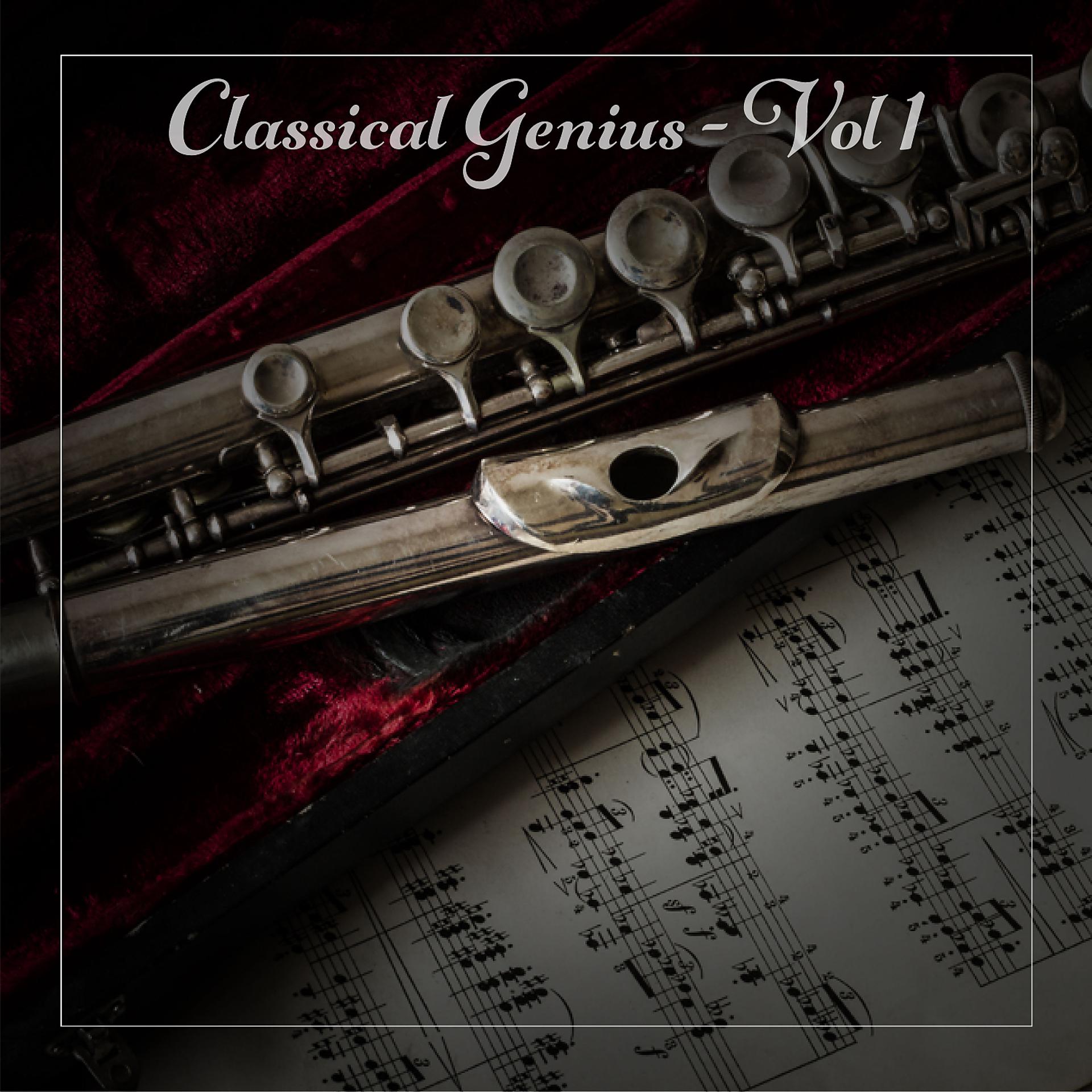 Постер альбома Classical Genius, Vol. 1