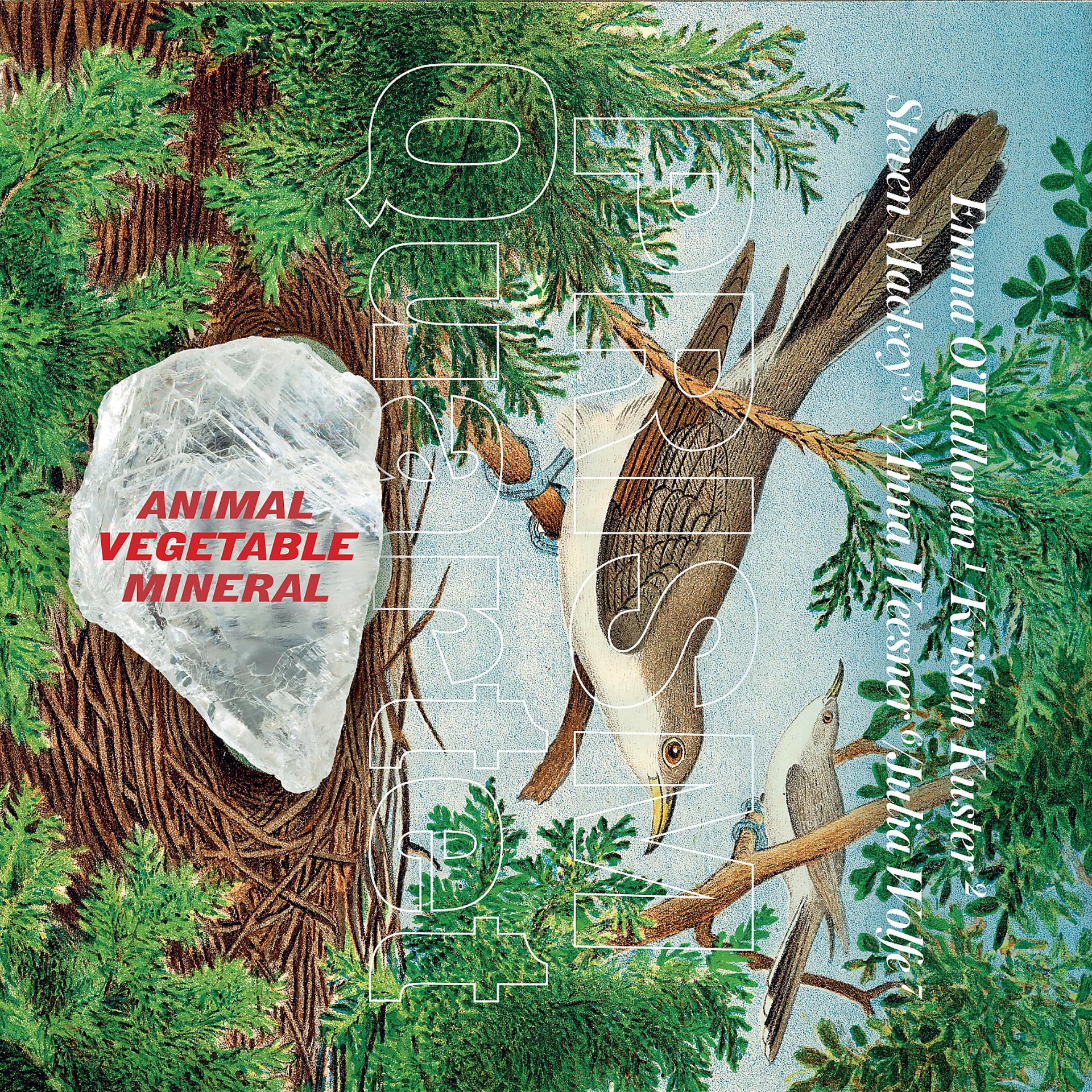 Постер альбома Animal, Vegetable, Mineral