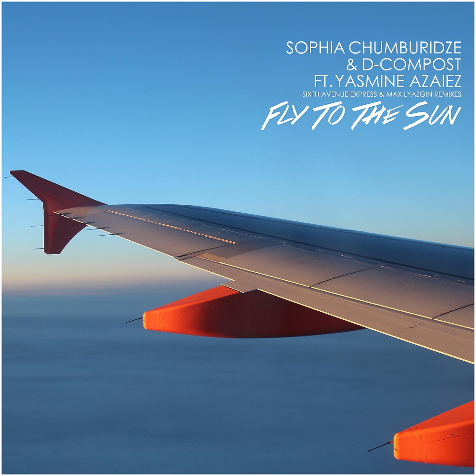 Постер альбома Fly To The Sun