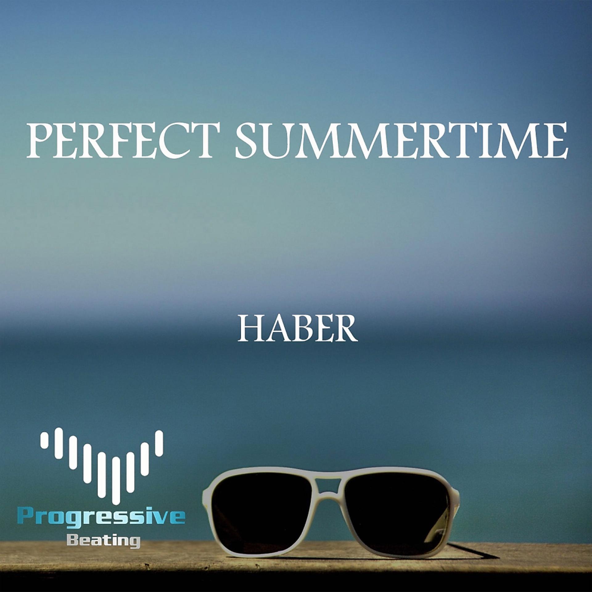 Постер альбома Perfect Summertime