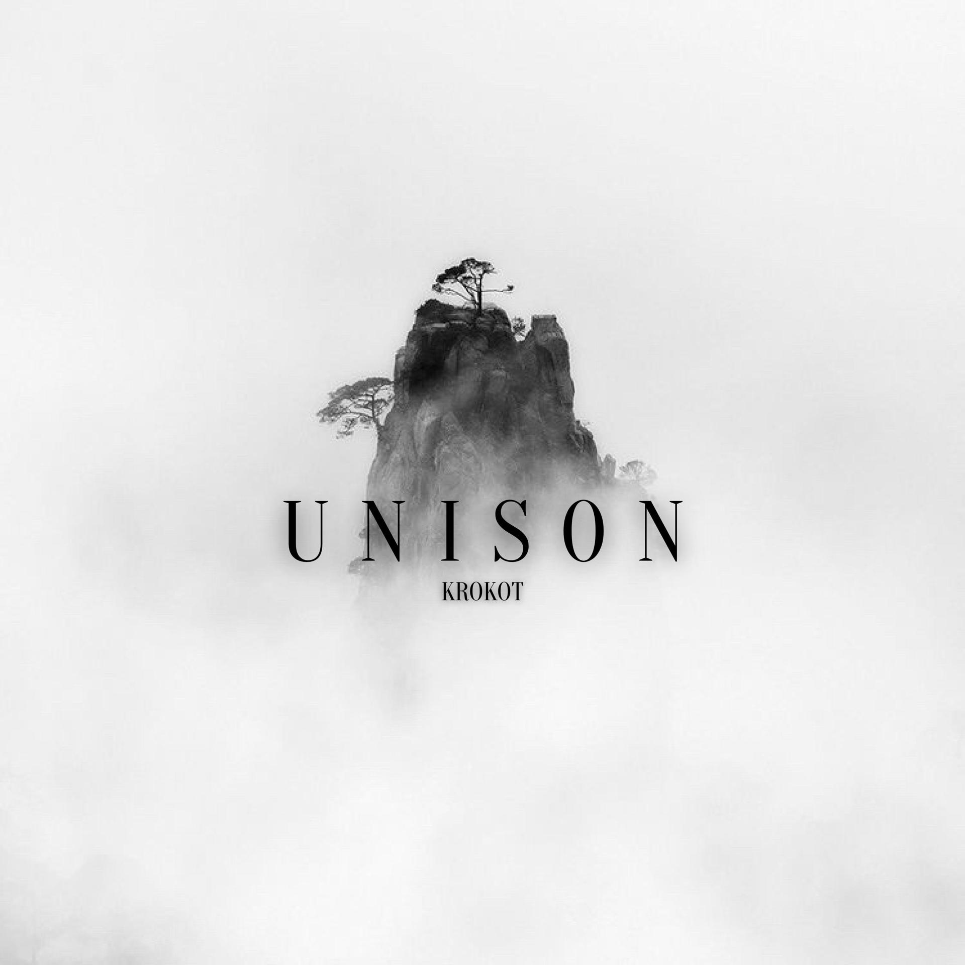 Постер альбома Unison