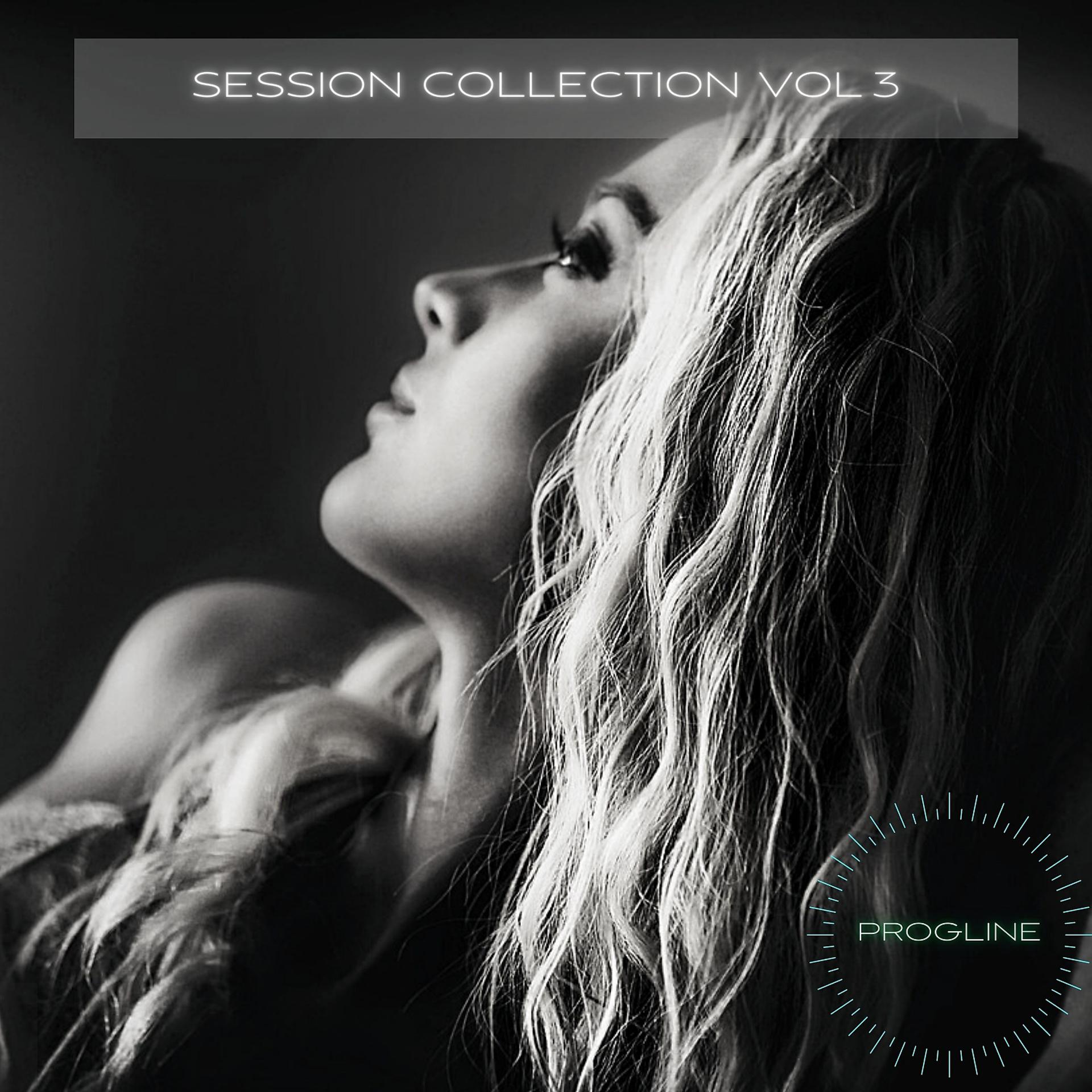 Постер альбома Session Collection Vol 3