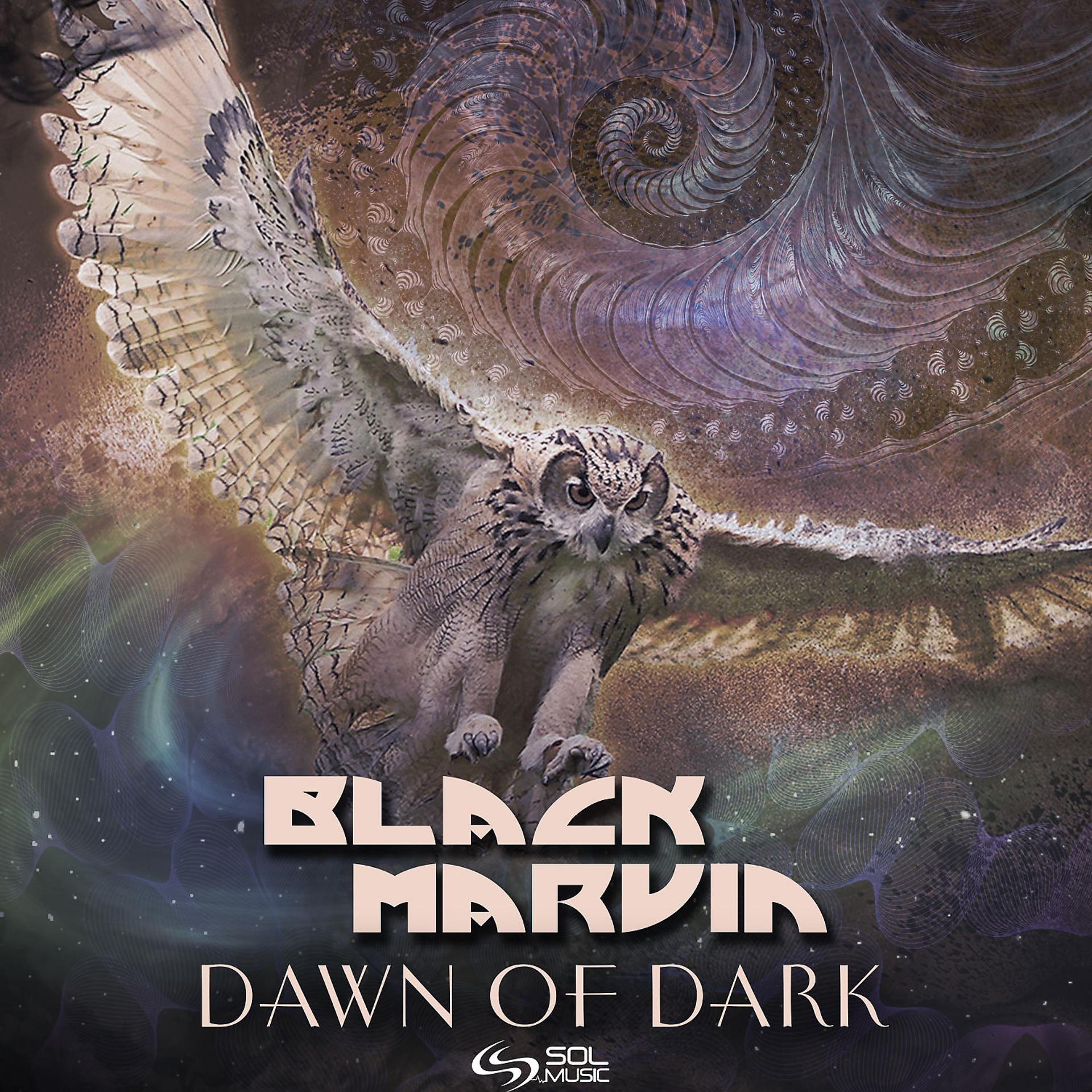 Постер альбома Dawn of Dark