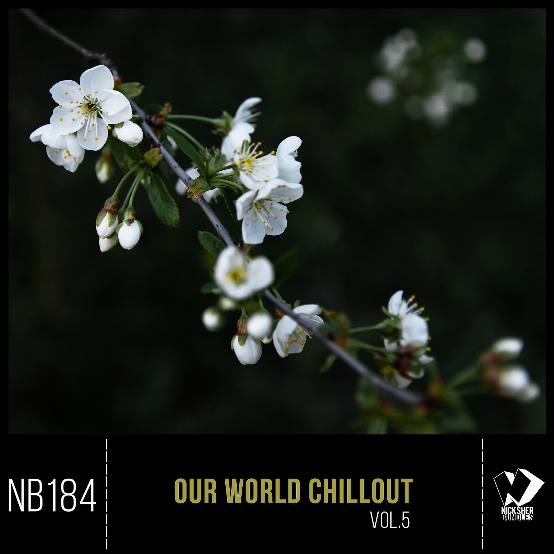 Постер альбома Our World Chillout, Vol. 5