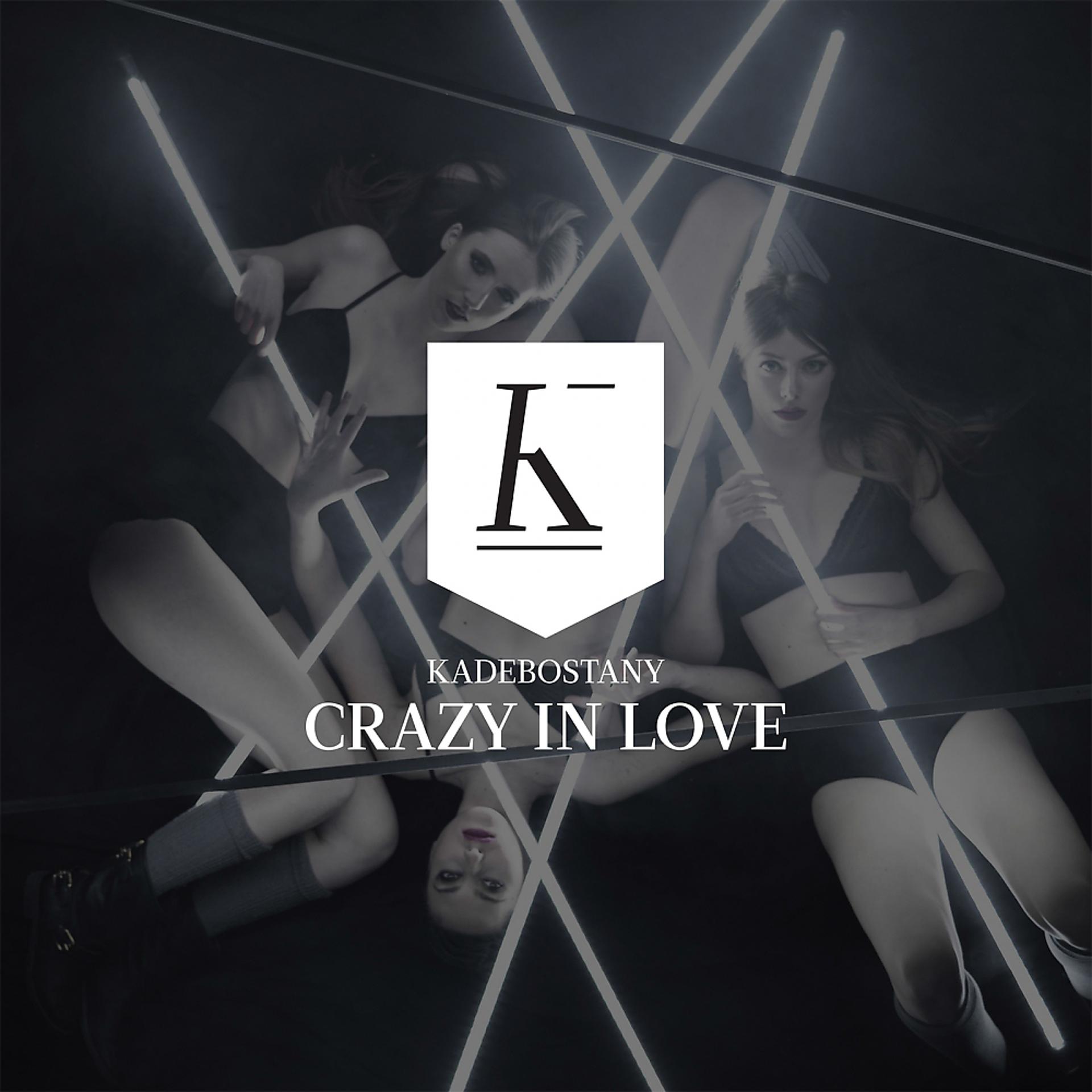 Постер альбома Crazy In Love