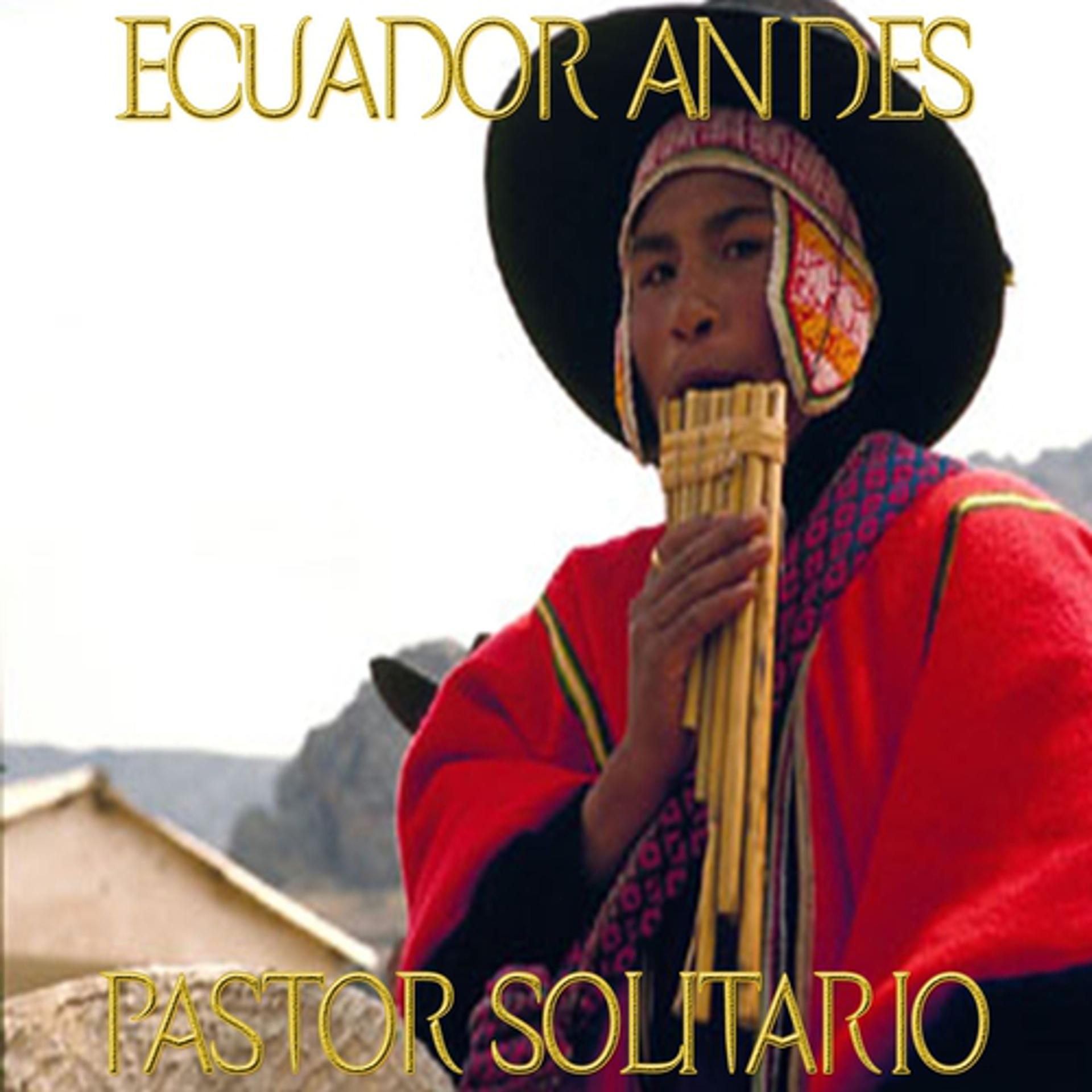Постер альбома Ecuador Andes Pastor Solitario (50 Songs)